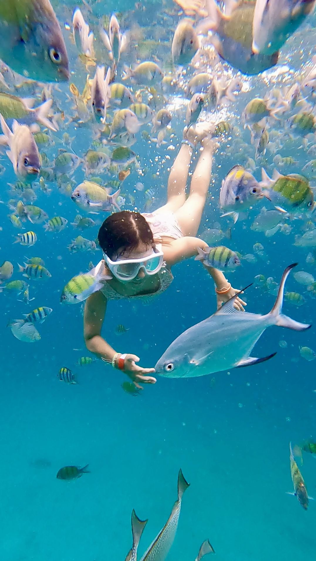 Entre peixos i somnis - Phi Phi Islands, Tailàndia FOTO: Esther Salinas
