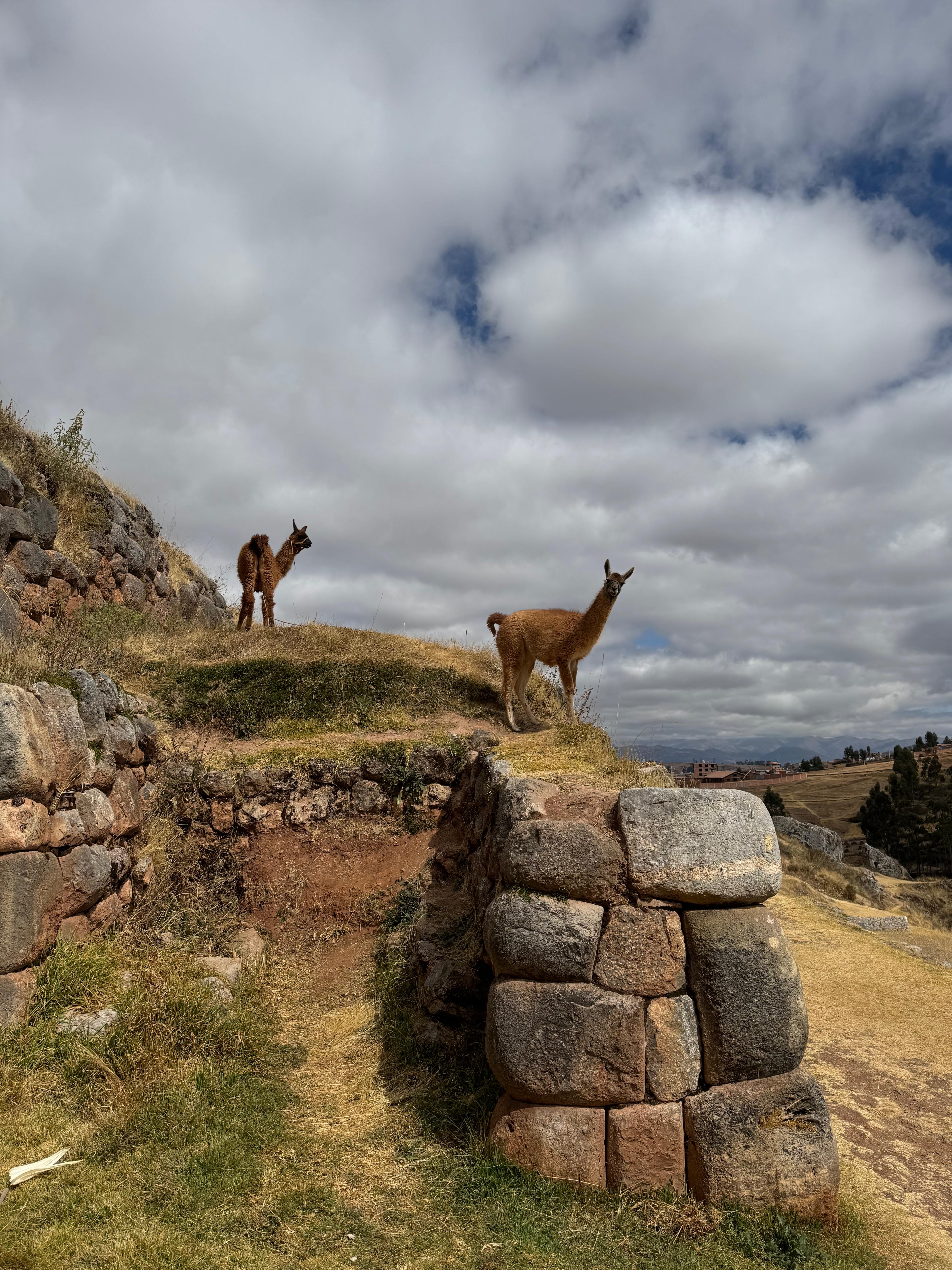 Equilibri natural - Ollantaytambo FOTO: Mercé Badia