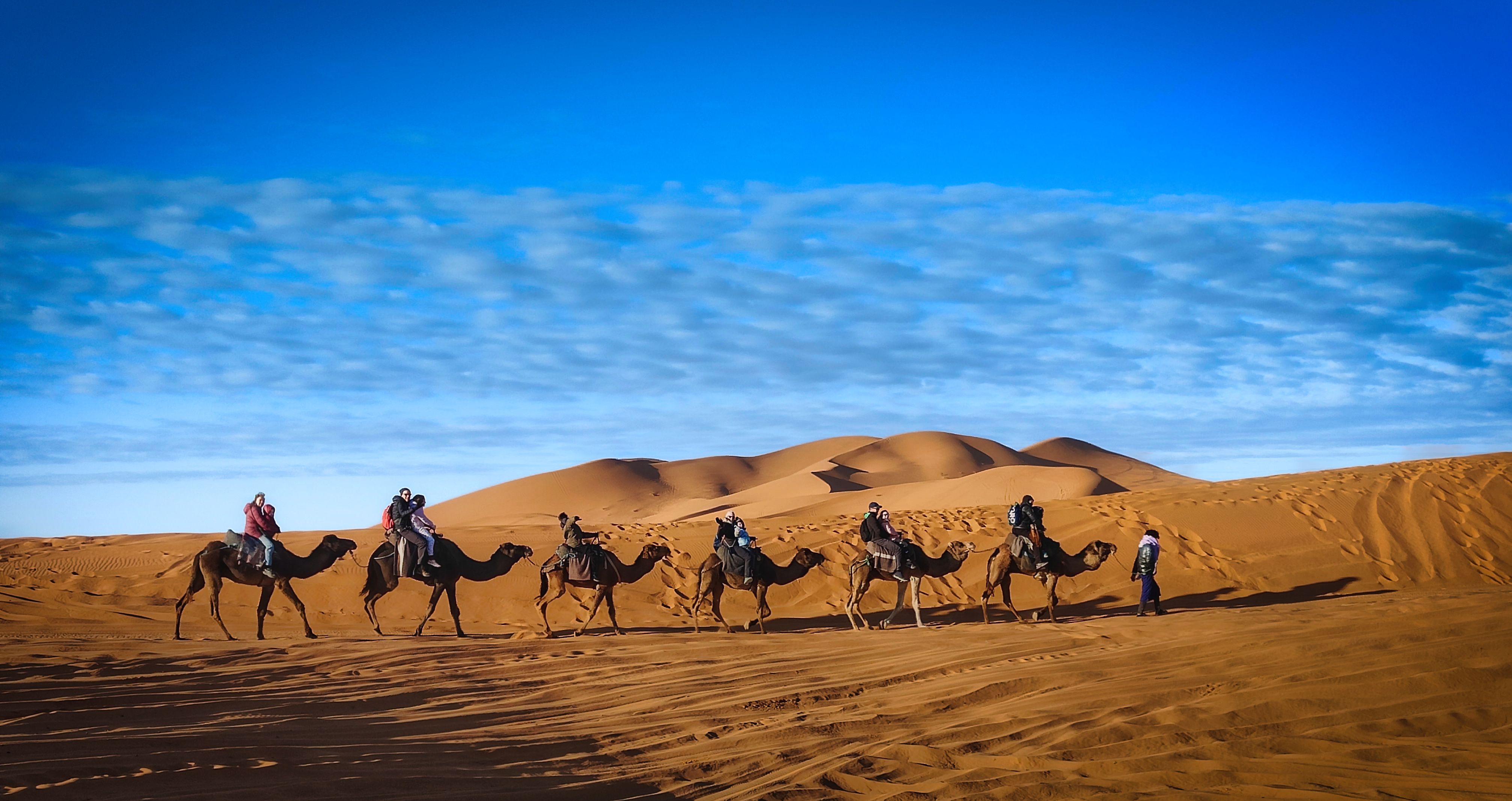 Entre dunes i camells - Erg Chebbi, Marroc FOTO: Mireia Renau Bonastre