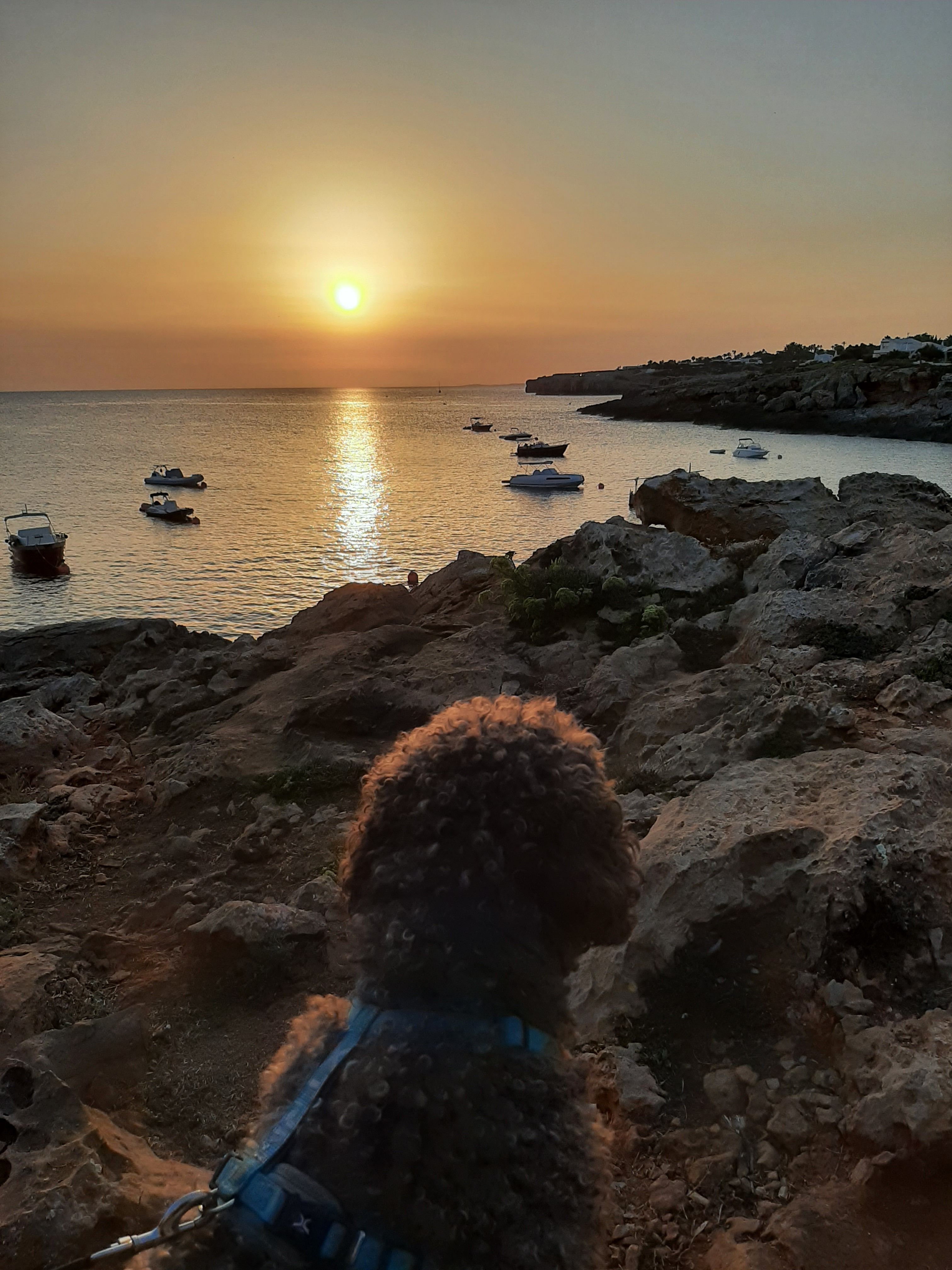 En Jack mirant la posta de sol - Cap d'en Font, Menorca FOTO: Cristina Moga Ferrés