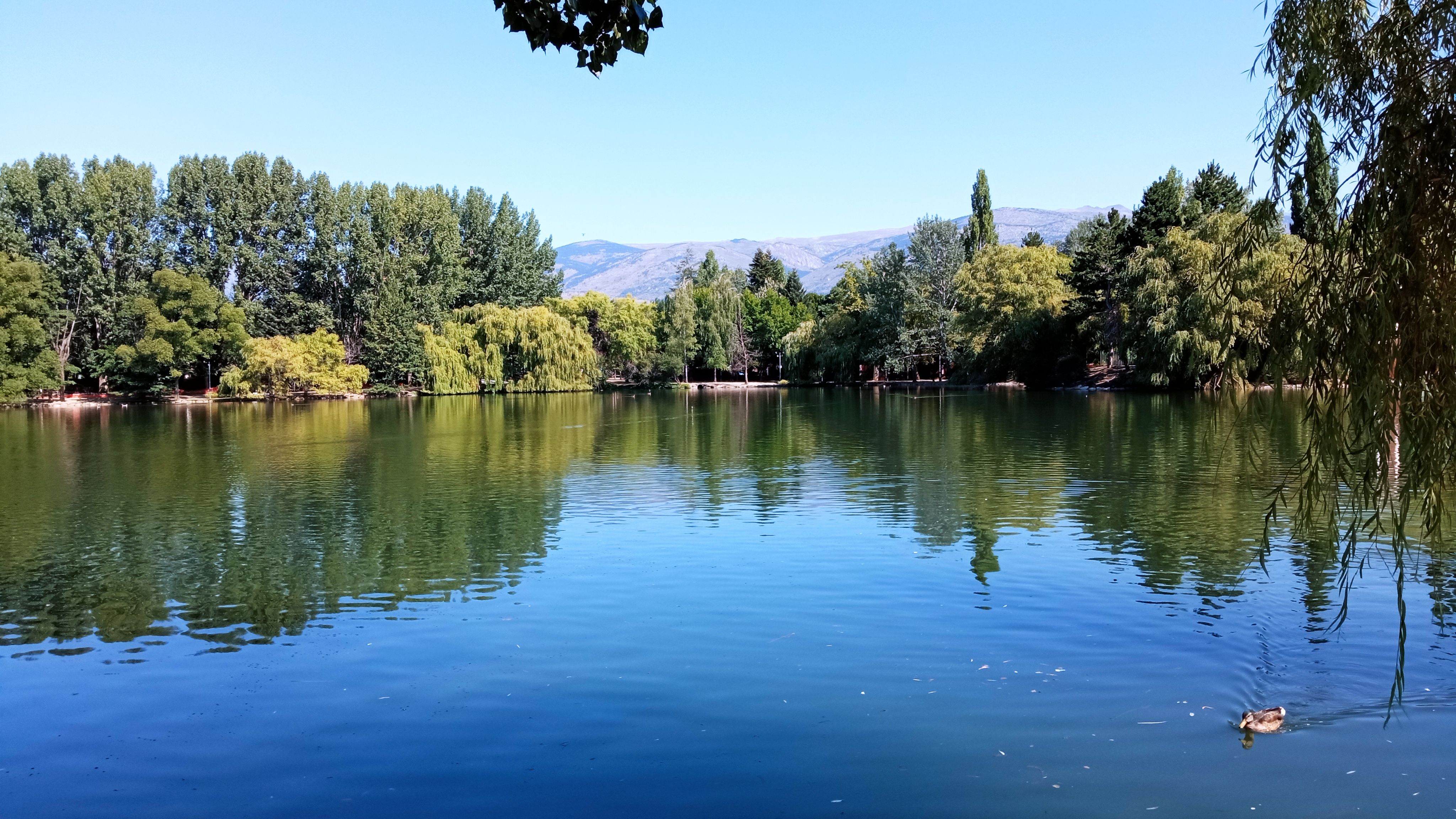 Instant d'estiu únic a l'estany - Estany de Puigcerdà i Parc Schierbeck FOTO: Mercè Rosselló Campdesuñer