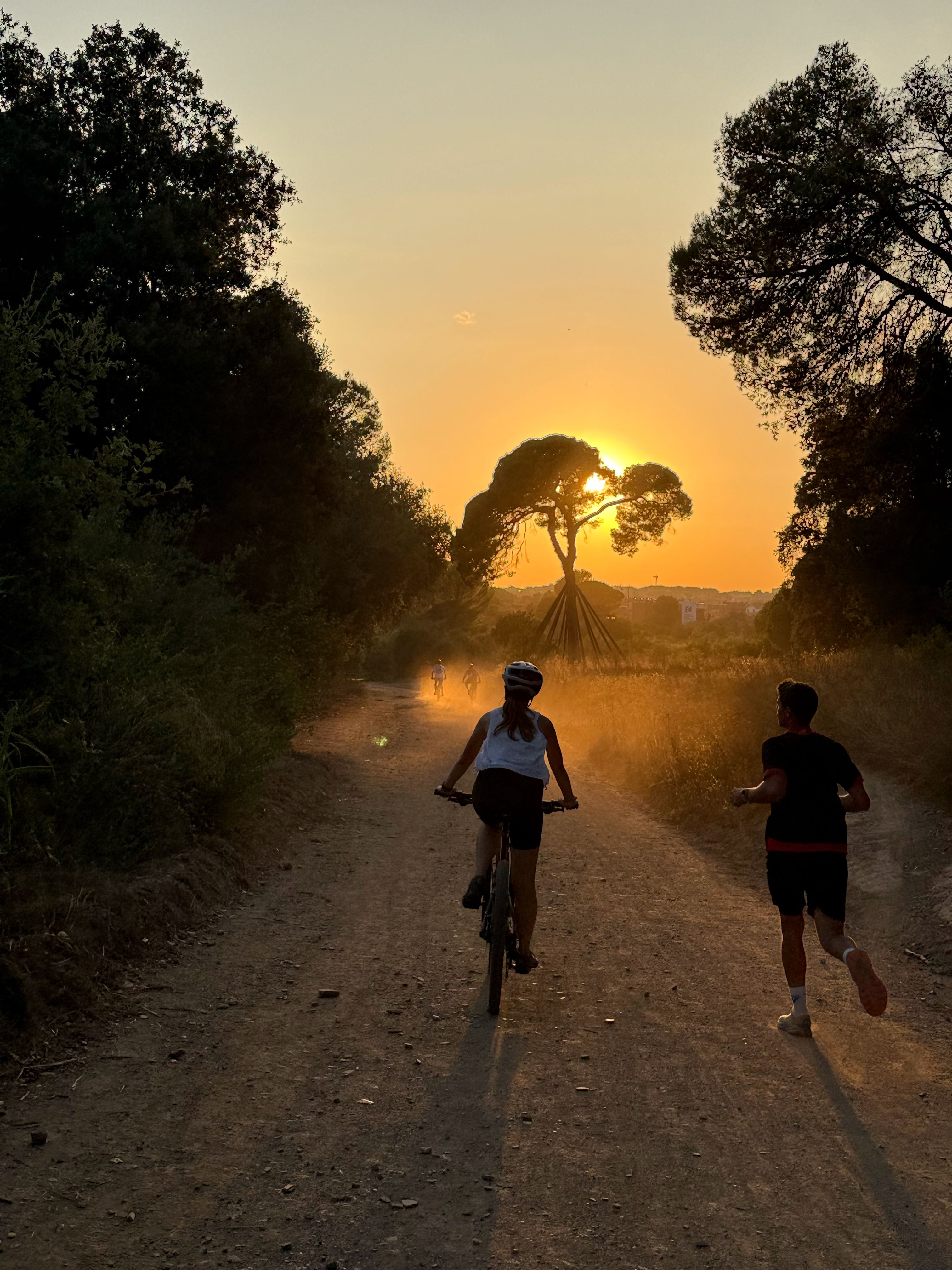 Instants del temps - Pi d’en Xandri FOTO: Nicolau Viñas Ferré