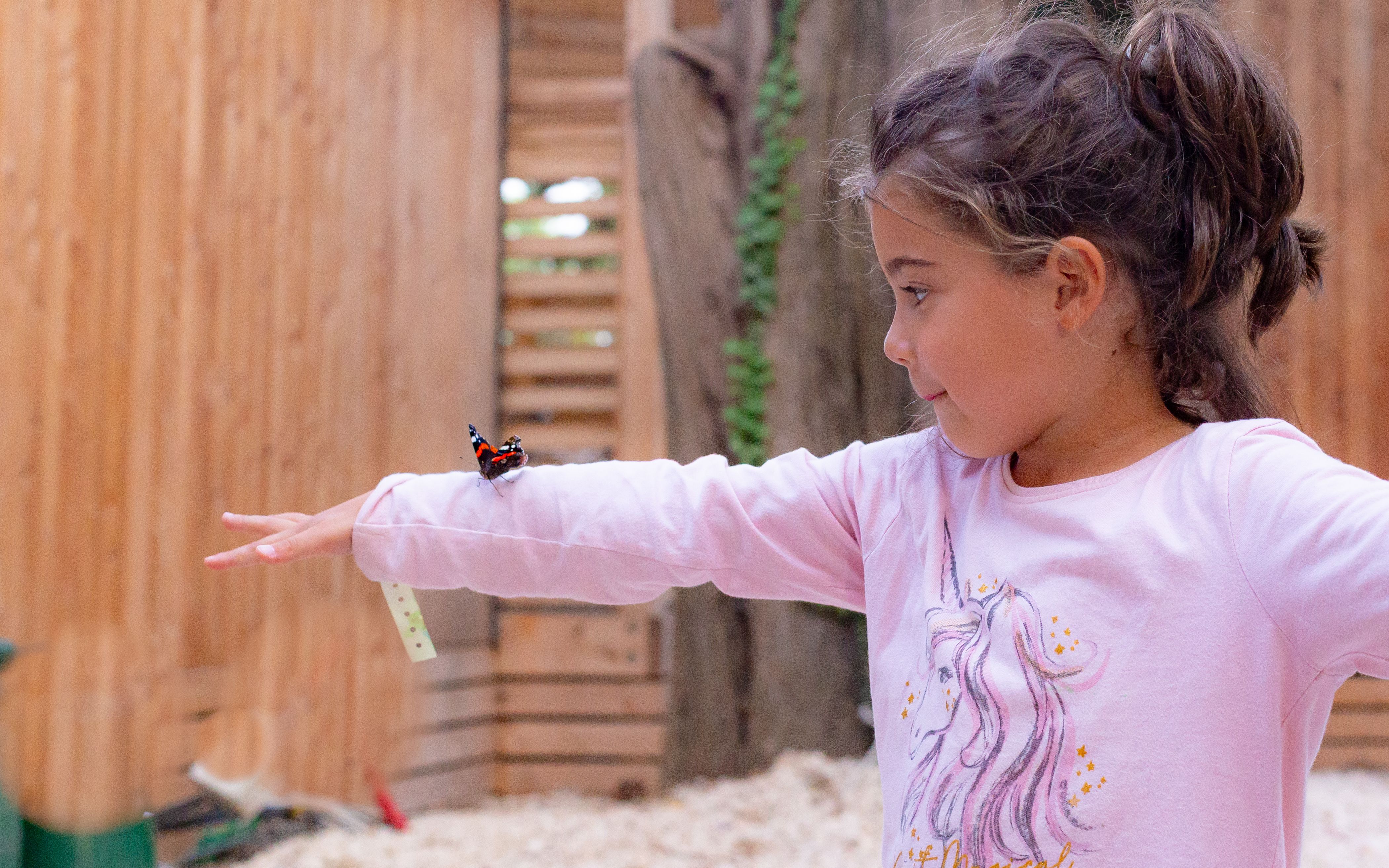 Jocs...d'unicorn i papallones - Le Barcares, França FOTO: Carlos Castillejo Balsera