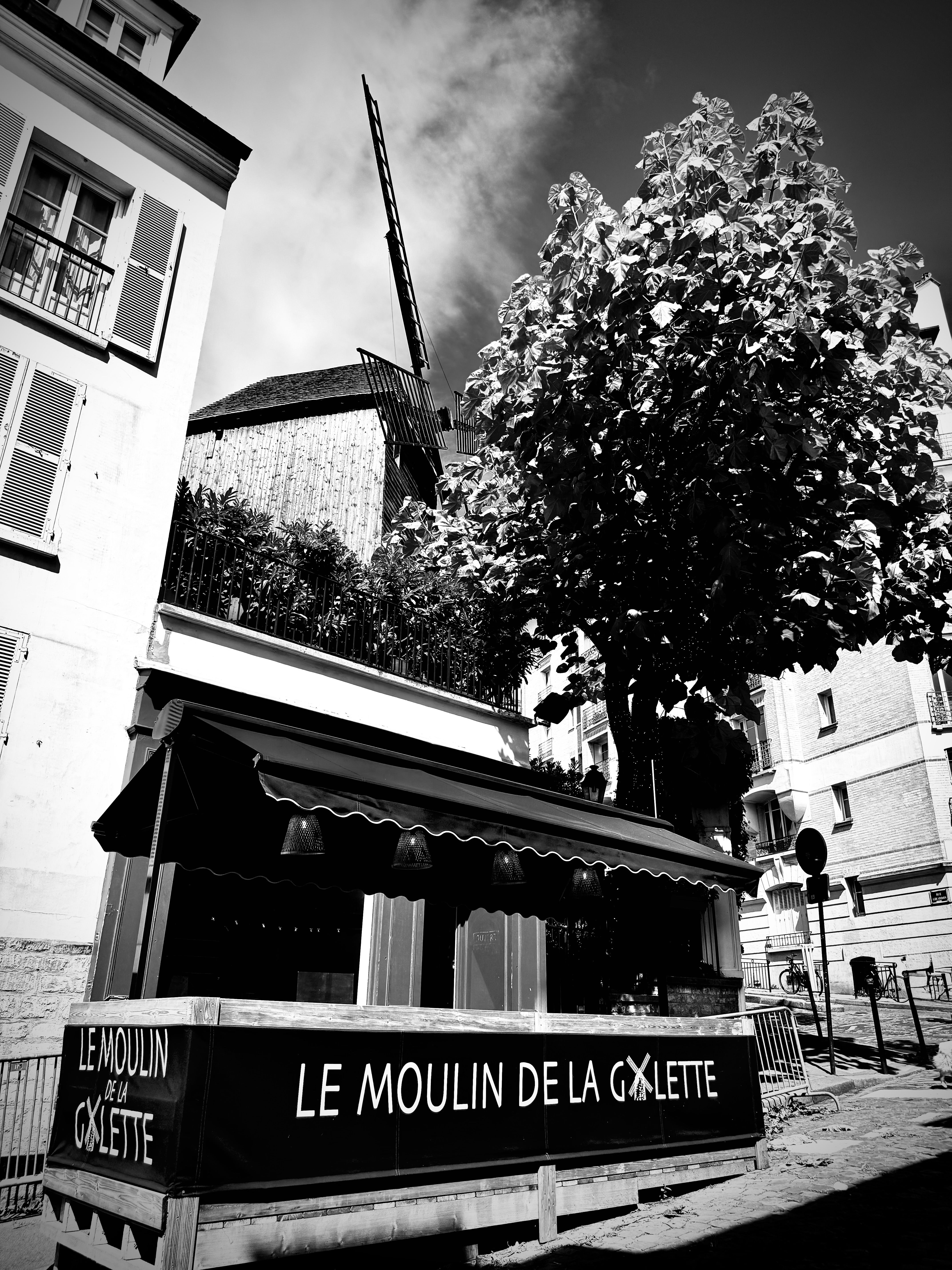 Le Moulin de la Galette - París FOTO: Xavier Caballero Ribera