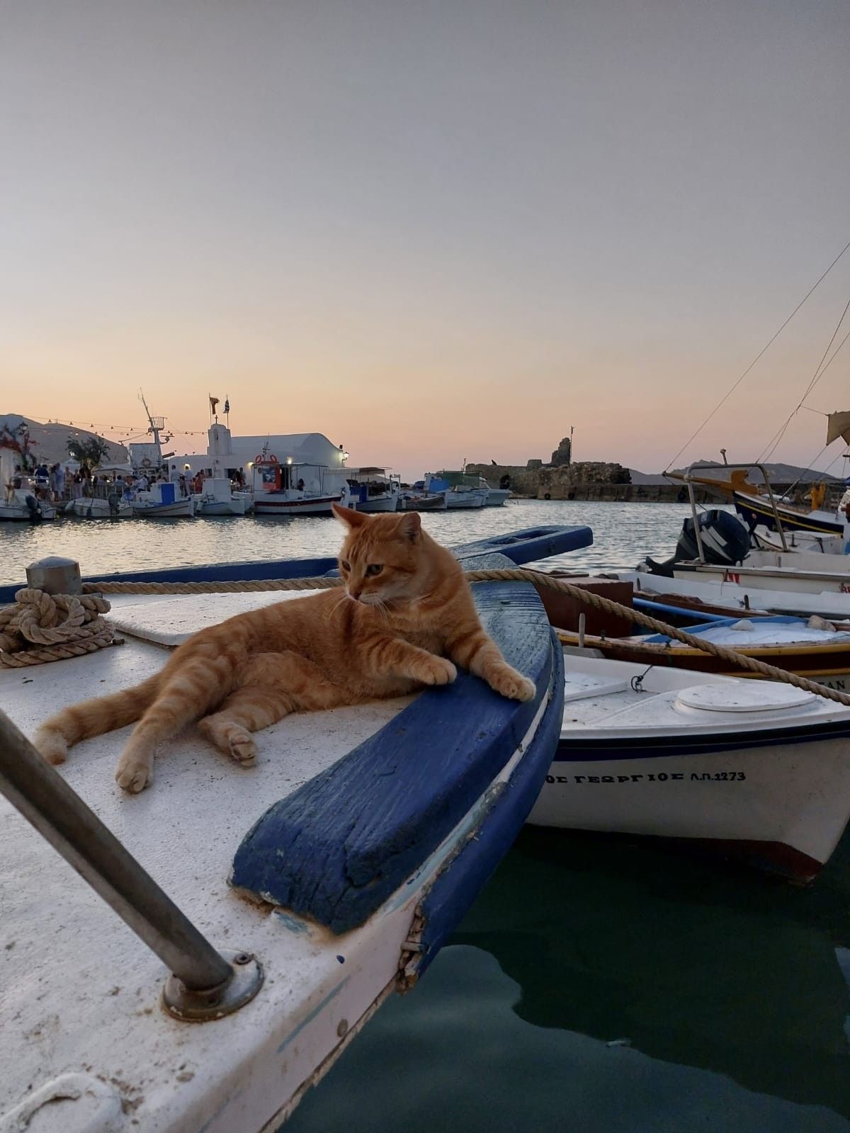 La tranquil·litat de l'estiu - Naoussa, Grècia FOTO: Lídia Juanola Borrat 