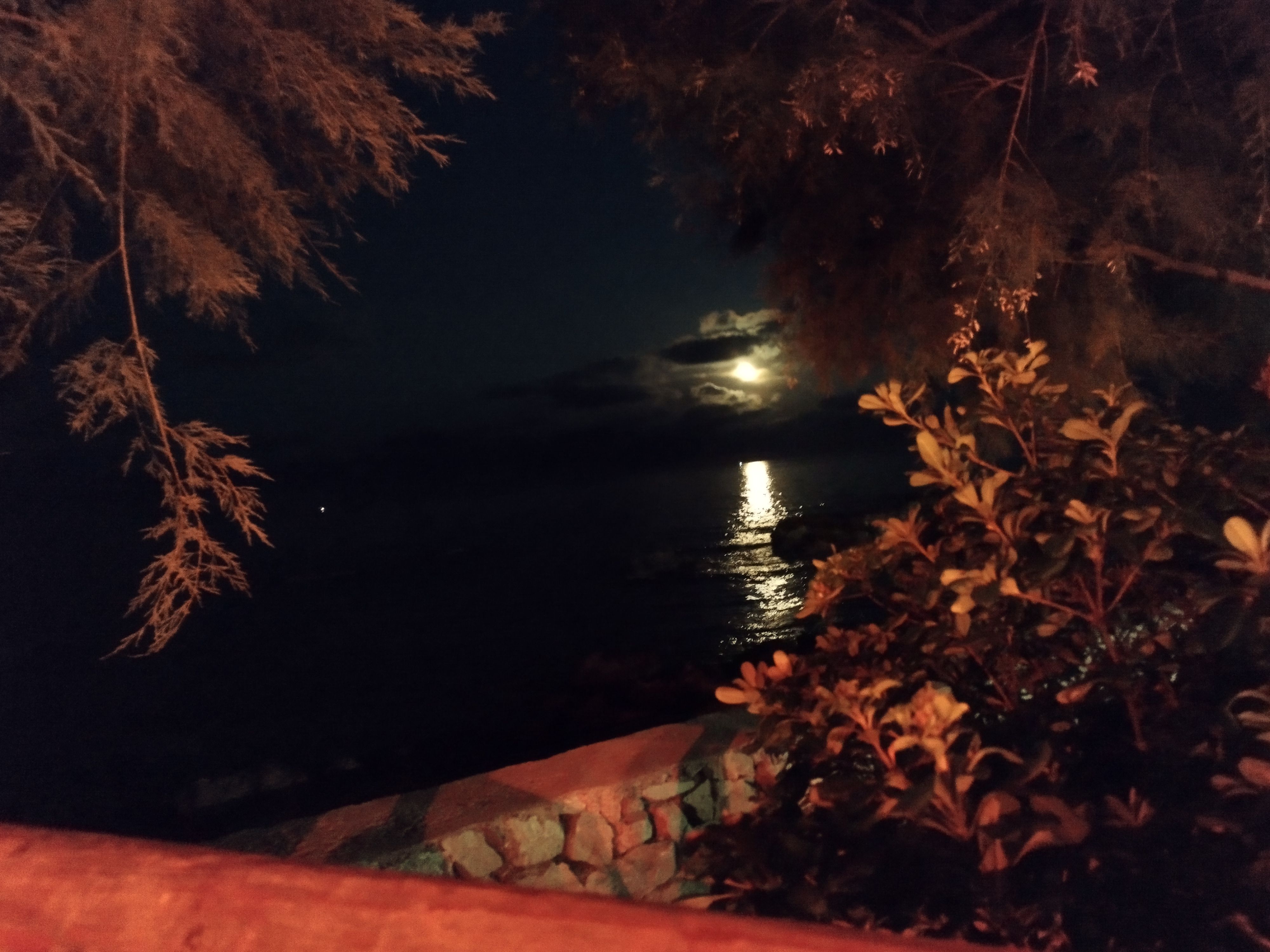 La lluna plena - Cala Bona, Mallorca FOTO: Magdalena Vadell Sureda