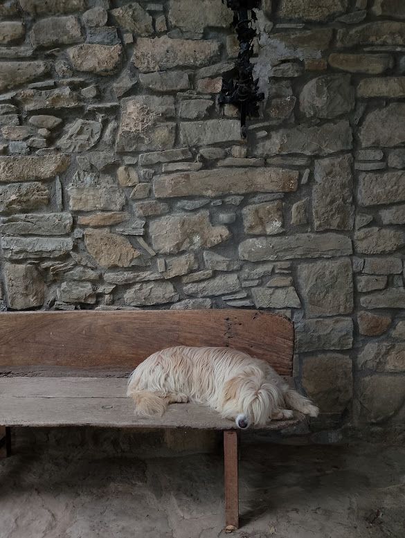 La calma fet pèl i pedra - Olot FOTO: Vanessa Bejarano Lor