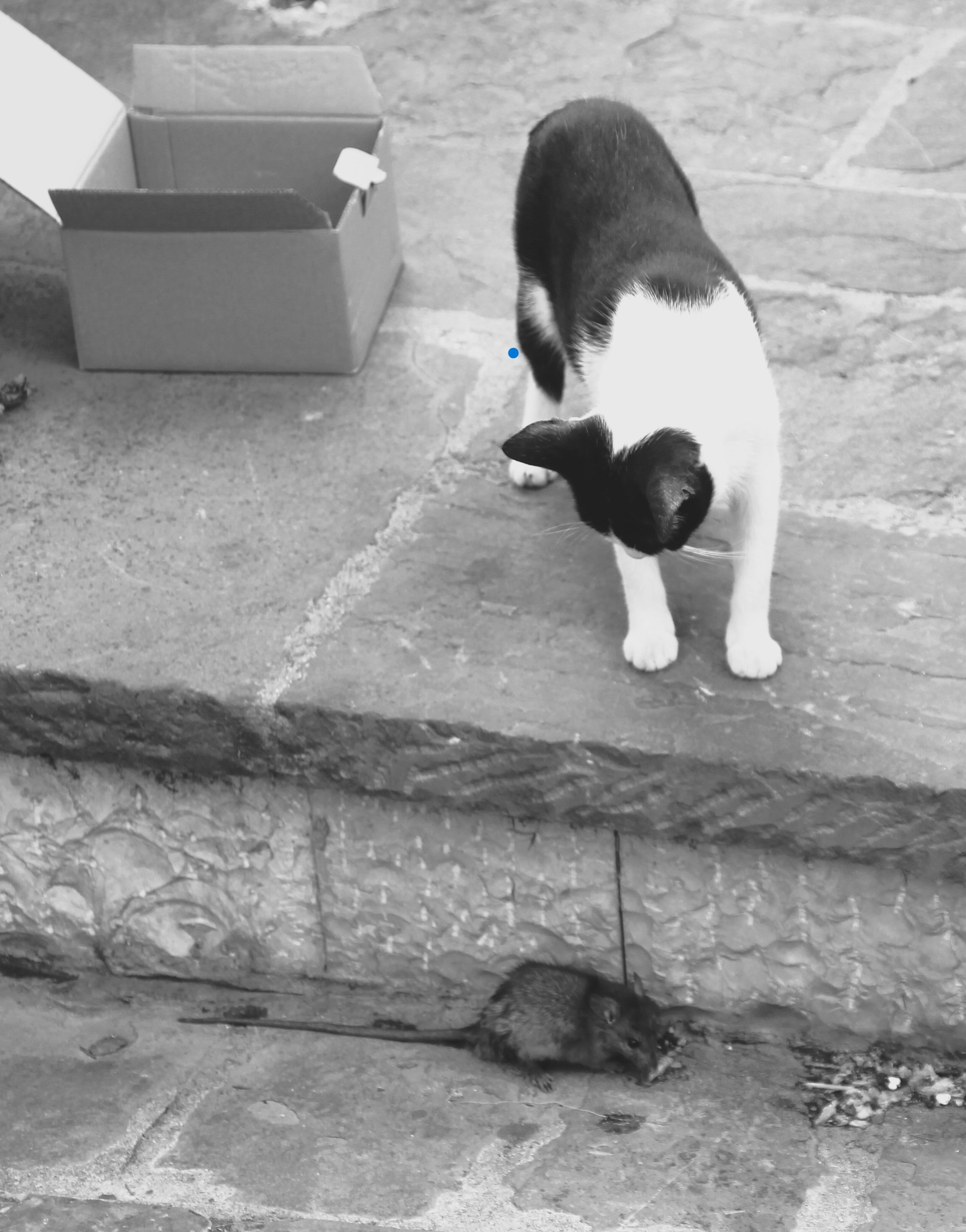 L'instant abans - Gjirokastra, Albània FOTO: Ma Angels Gallisa Soms