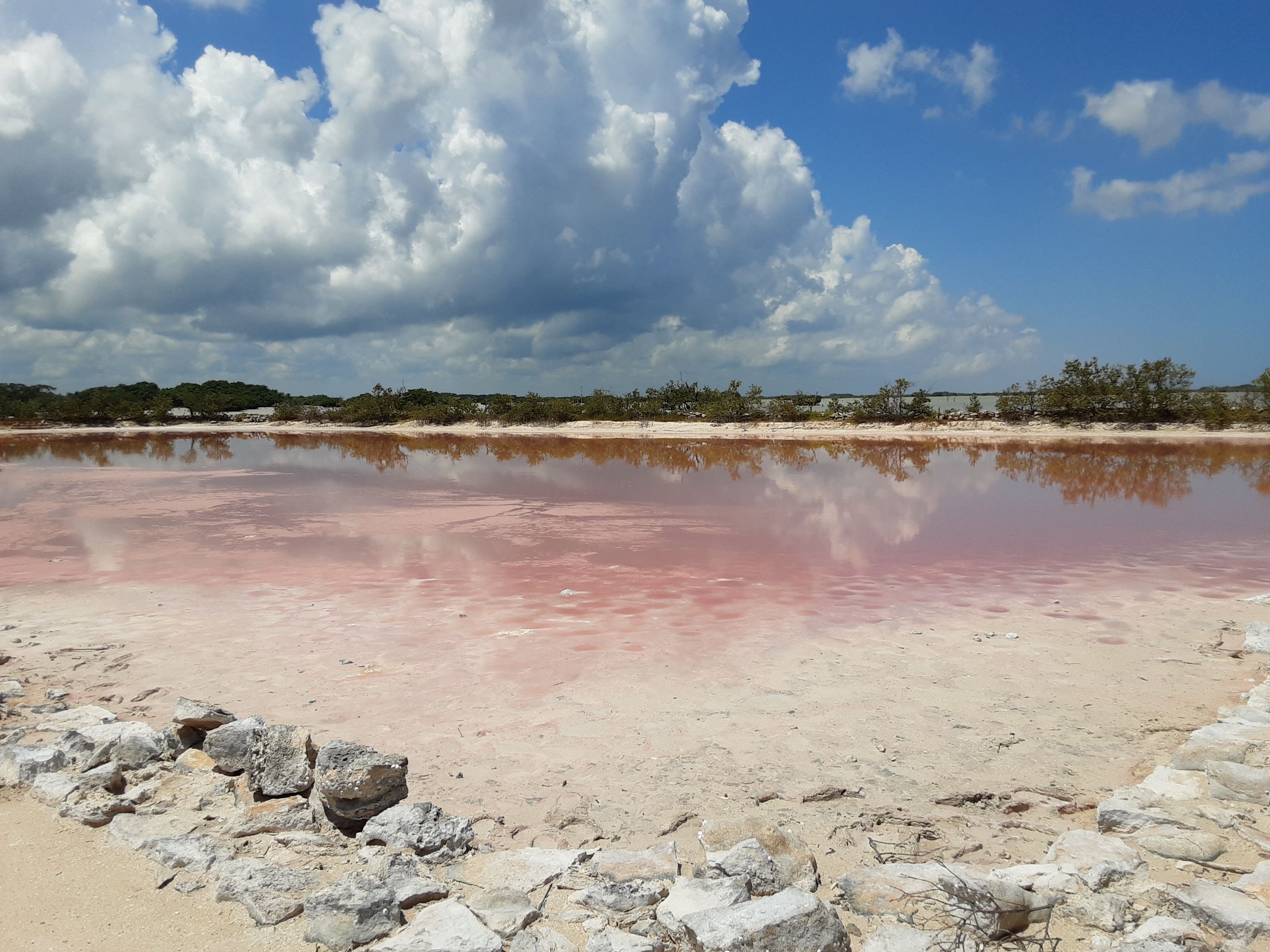 L'espectacle de la Sal - Salinas, Mèxic FOTO: Ariadna Conesa