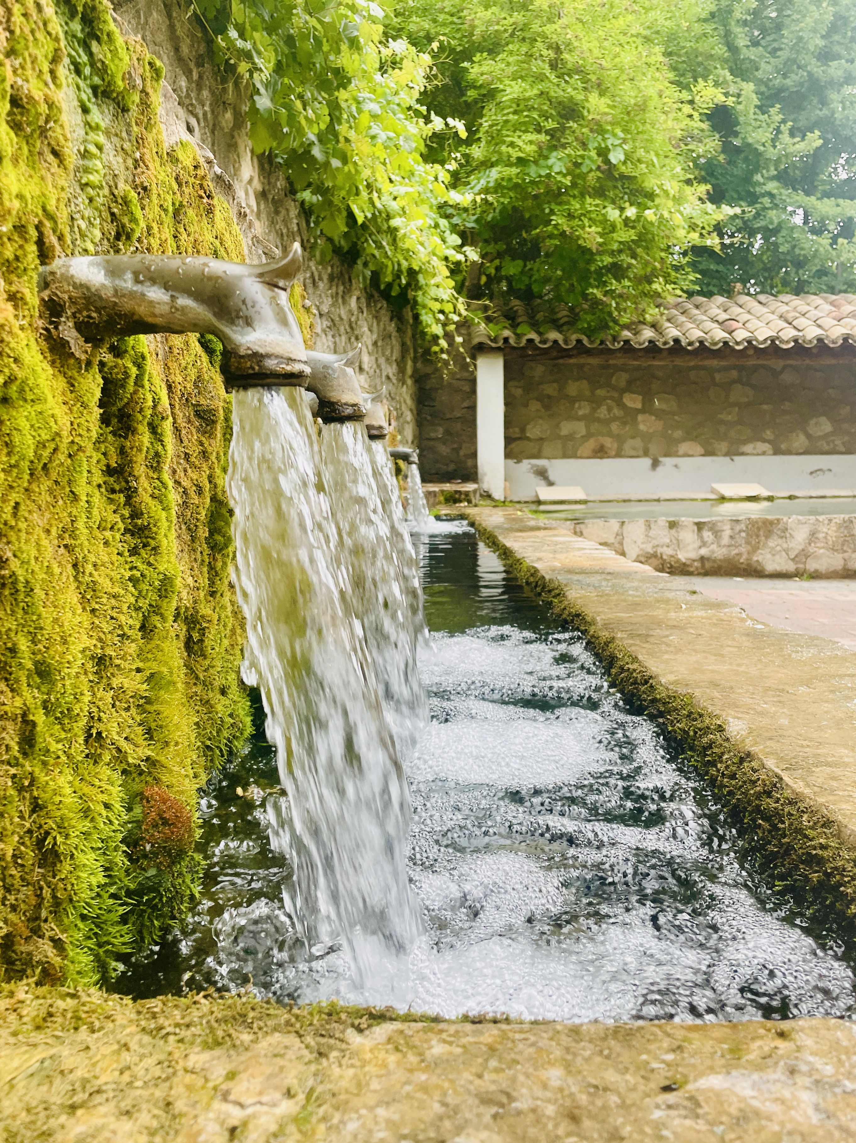L'aigüa - Fuertescusa, Cuenca FOTO: Elisabet De Los Santos Del Hoyo