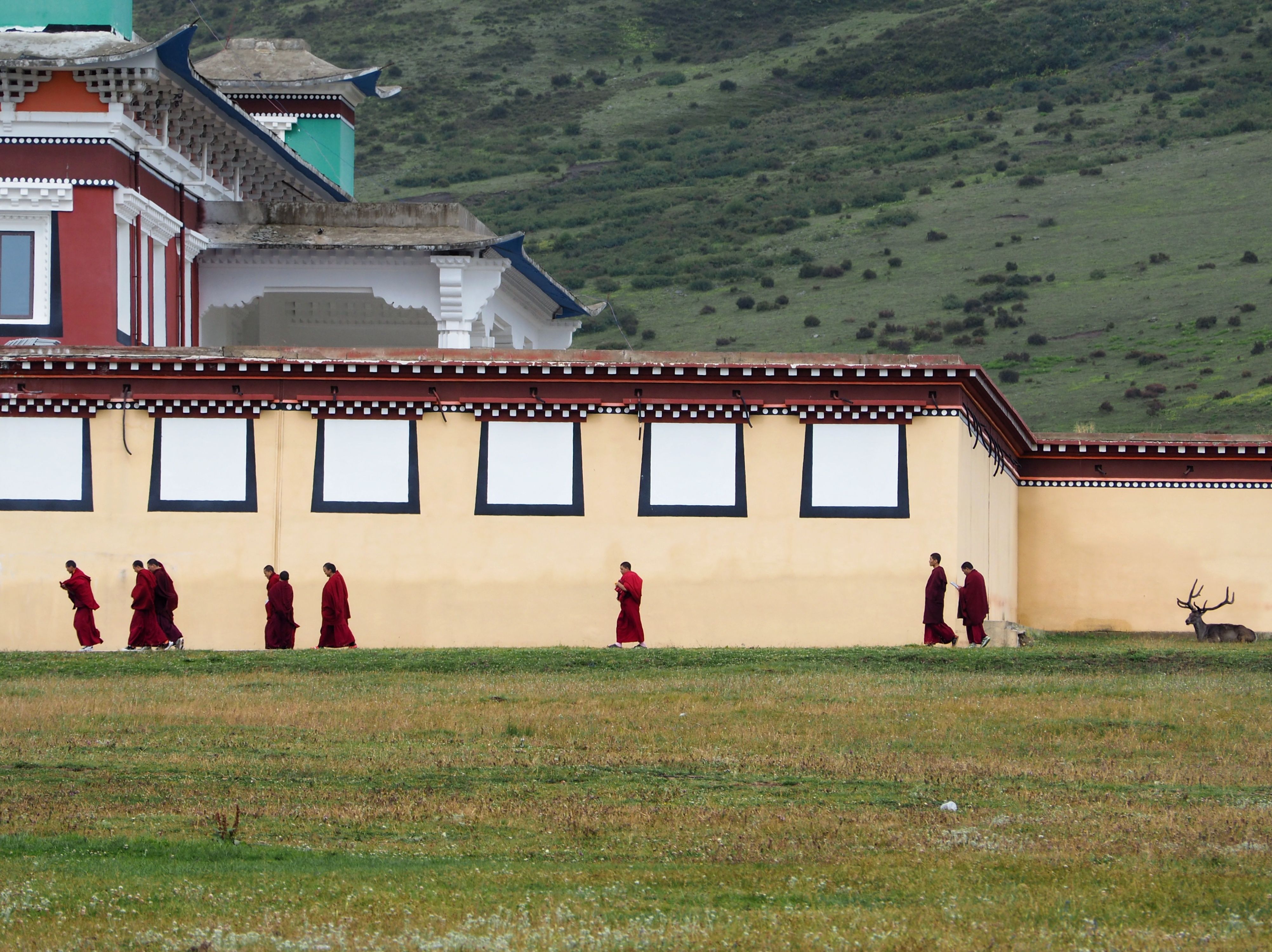 L'amic inesperat ú Sichuan, la Xina #Guim Castrillo Bueno