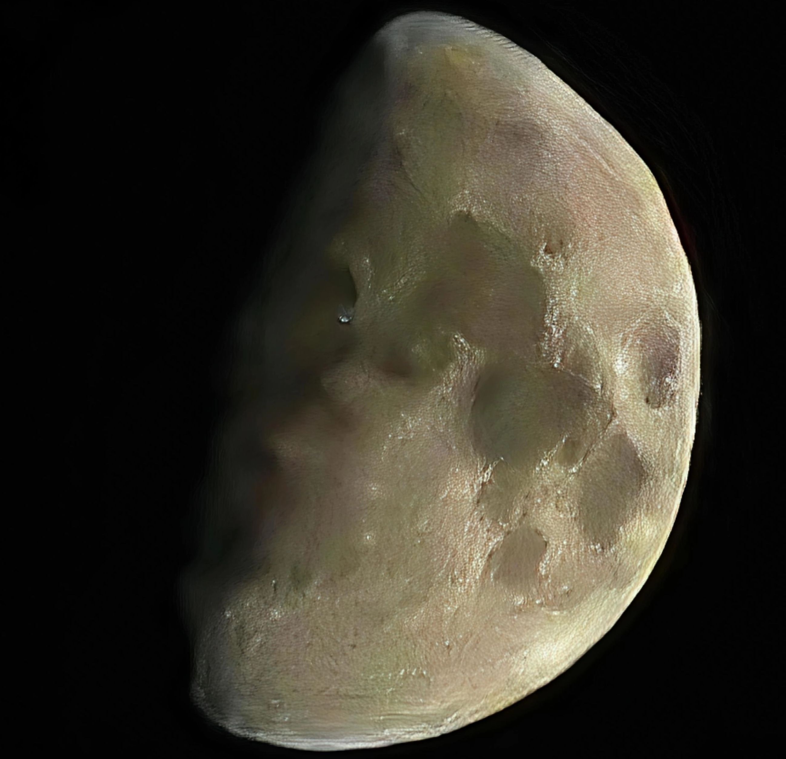 Lluna - Mira-Sol FOTO: Xavier Masa Cardona