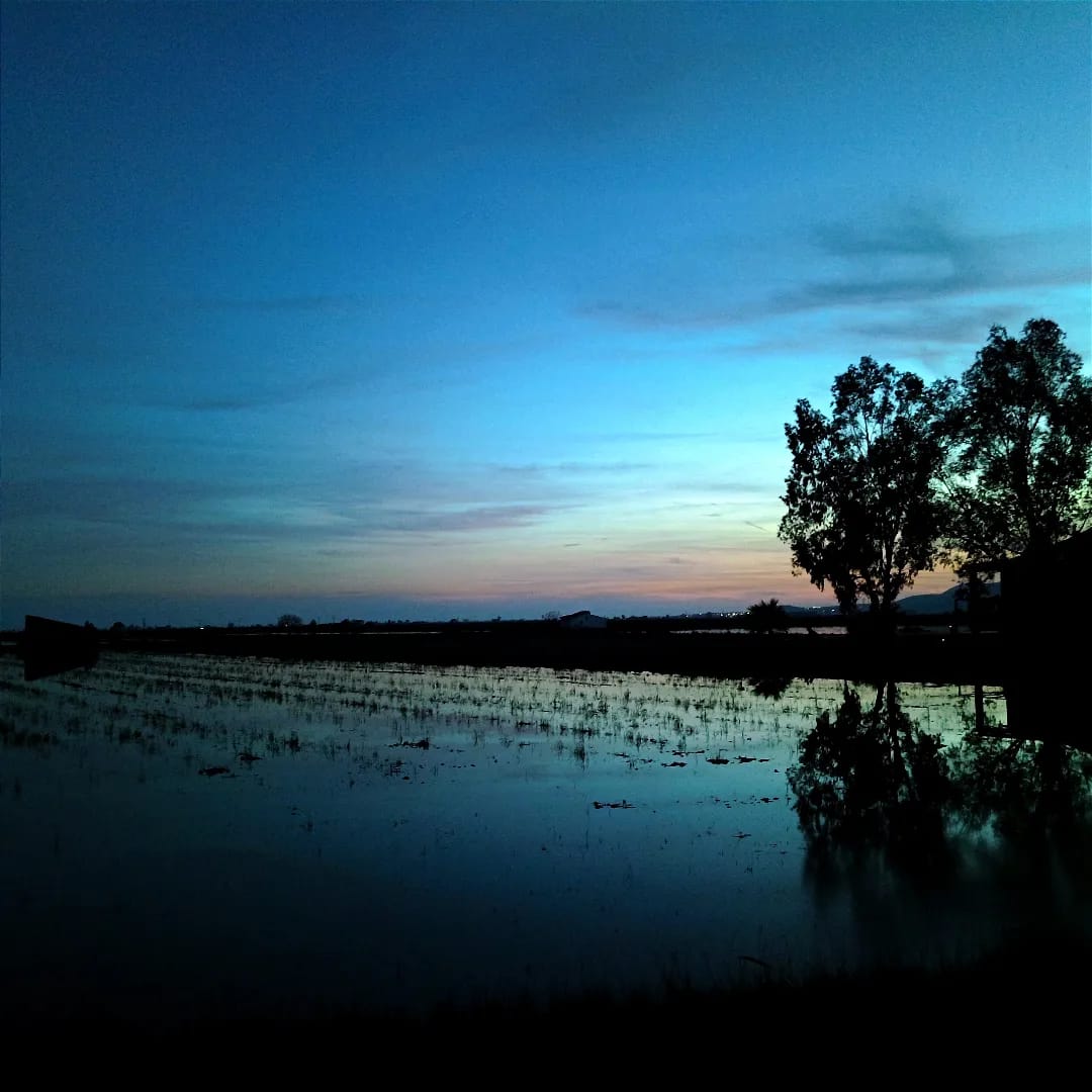 Llum i calma - Delta de l'Ebre, Tarragona FOTO: Sonia Murcia Muñoz 
