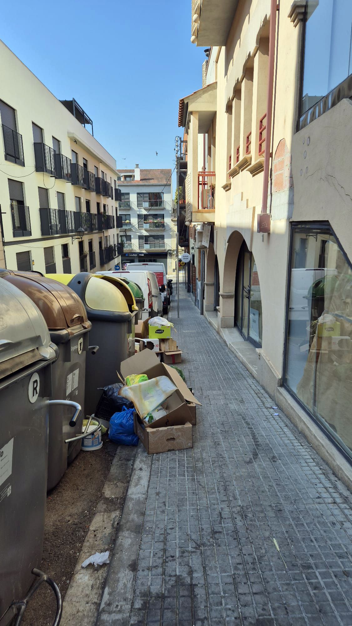 Denúncia sobre la ubicació i estat dels contenidors d’Enric Granados, 11. FOTO: Laura Puyuelu