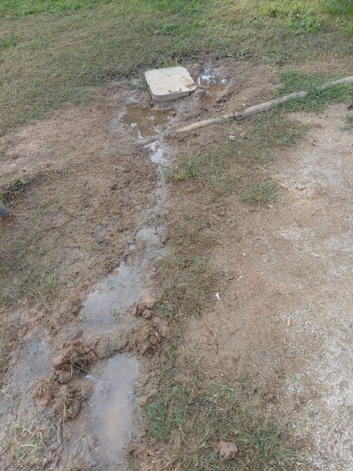 Fuites d'aigua. FOTO: Mar Simón