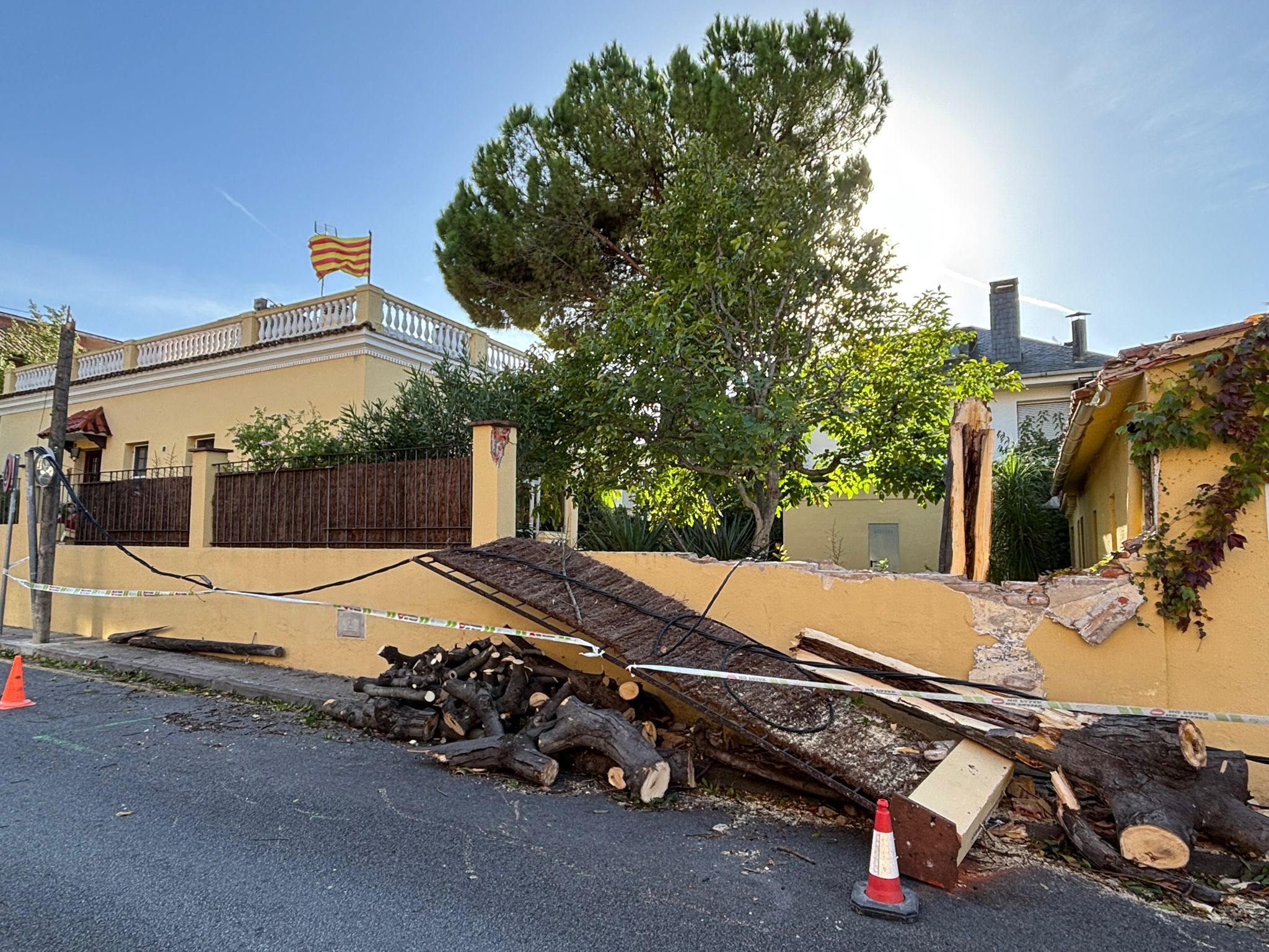 L'arbre caigut al carrer de Santa Teresa ha fet malbé la tanca d'un habitatge. FOTO: Cedida