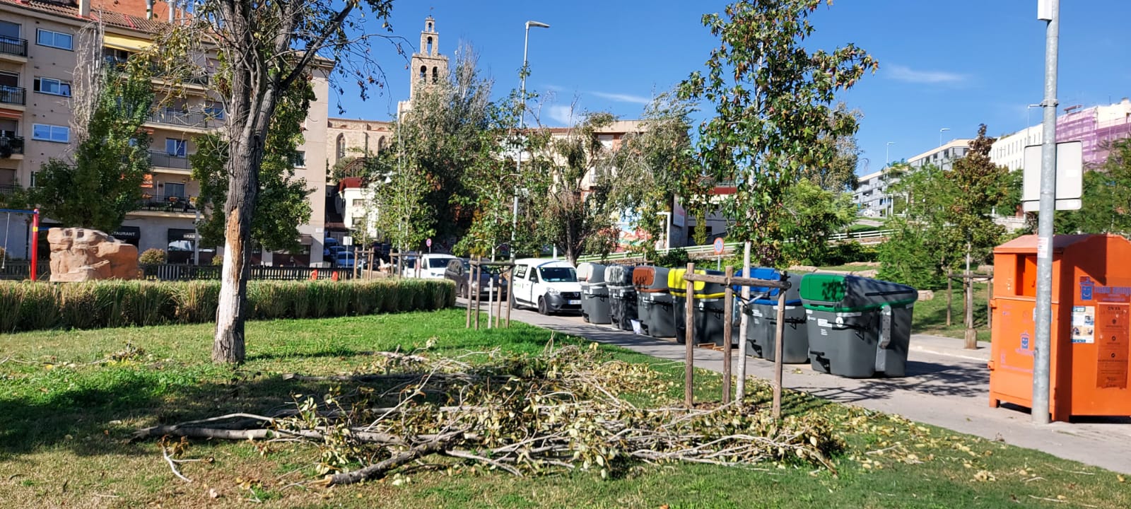Branques d'arbre a la Rambla del Celler. FOTO: TOT Sant Cugat