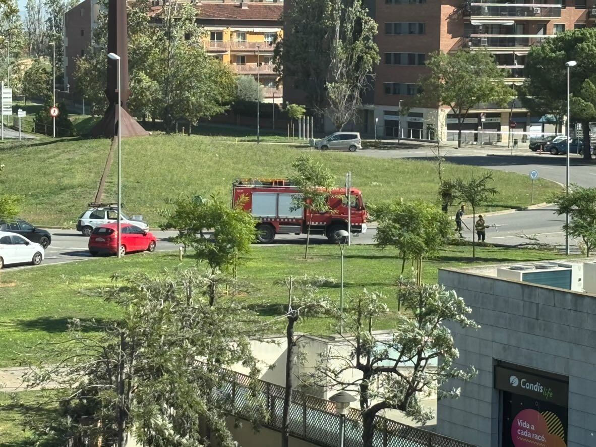 Arbre caigut a Sant Cugat. FOTO: Cedida