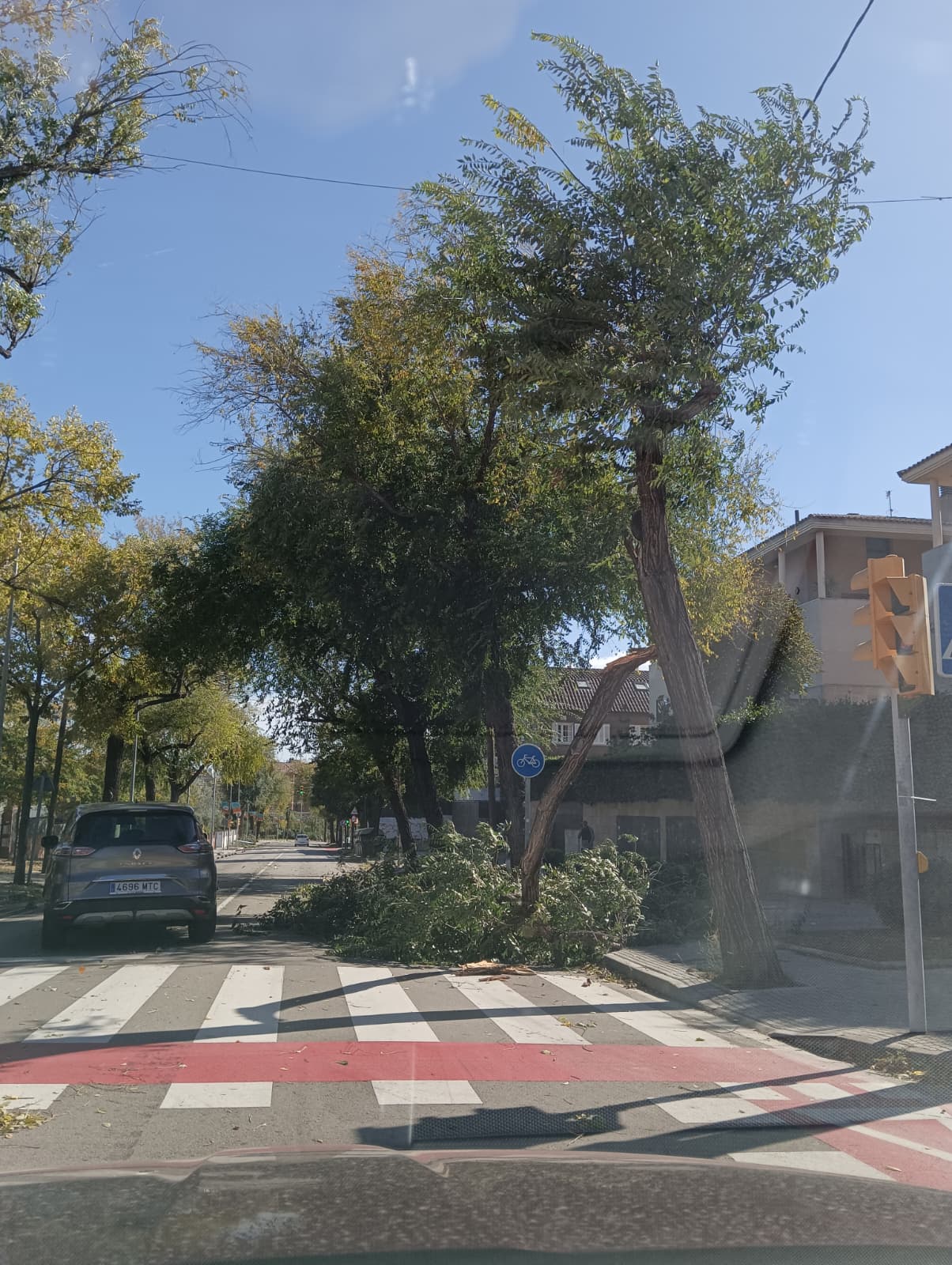 Branque d'arbre a l'aviguda de Rius i Taulet. FOTO: Cedida