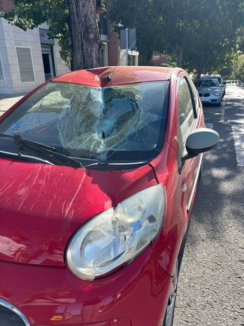 Una branca ha trencat el vidre d'un cotxe a la zona de Coll Favà. FOTO: TOT Sant Cugat