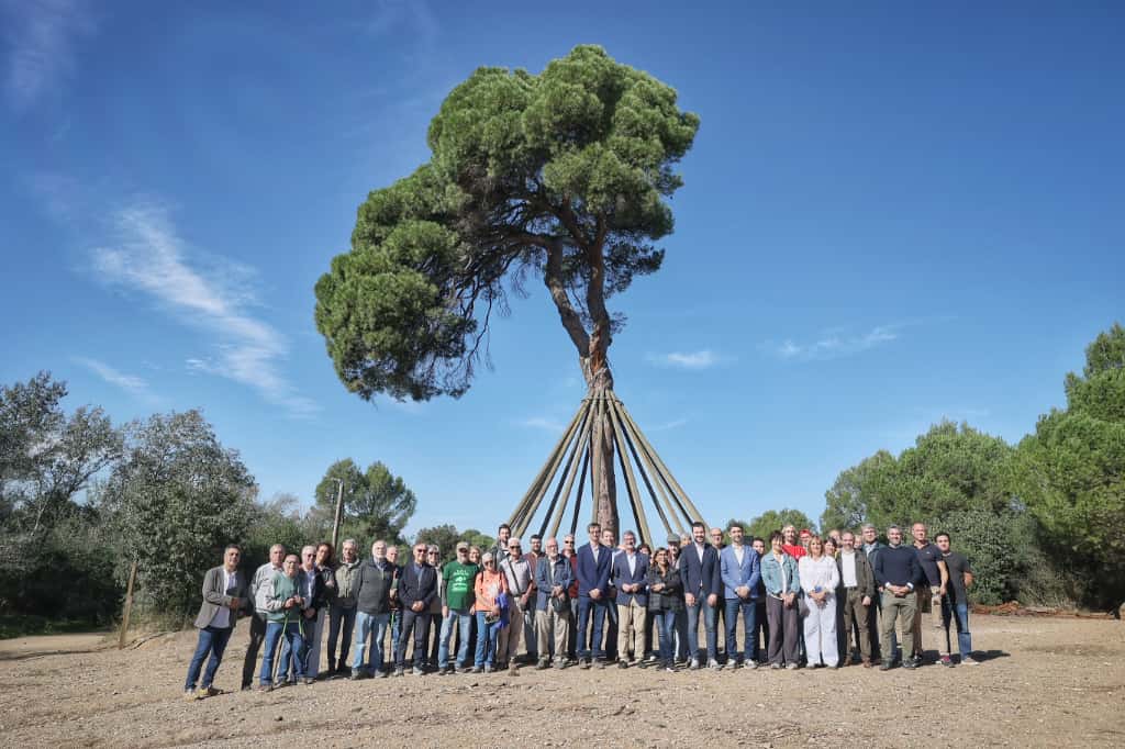 FOTO: Ajuntament de Sant Cugat
