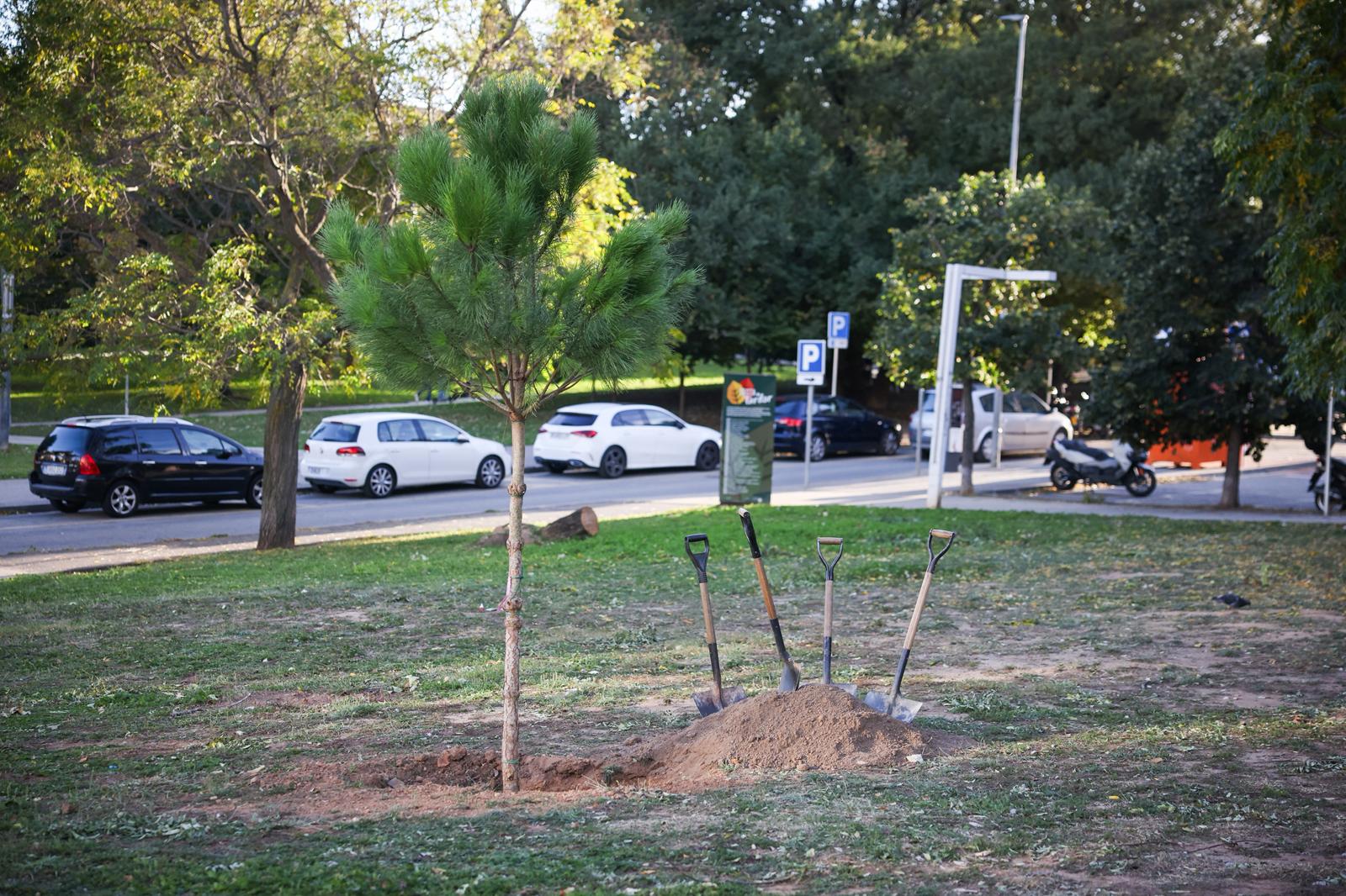 605fe08e a838 45b3 8329 73a4c40cfcde