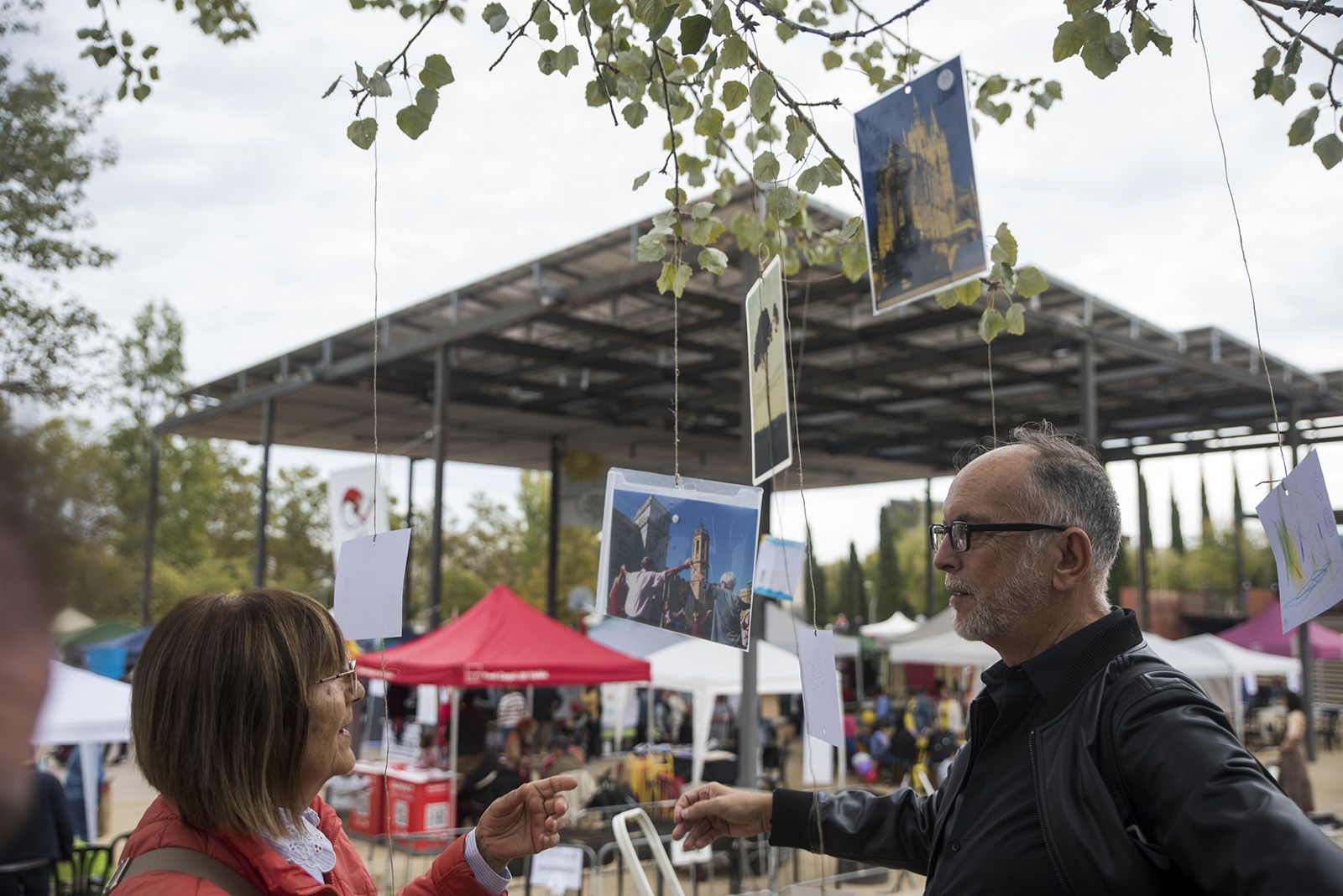 L'arbre solidari. FOTO: Bernat Millet.