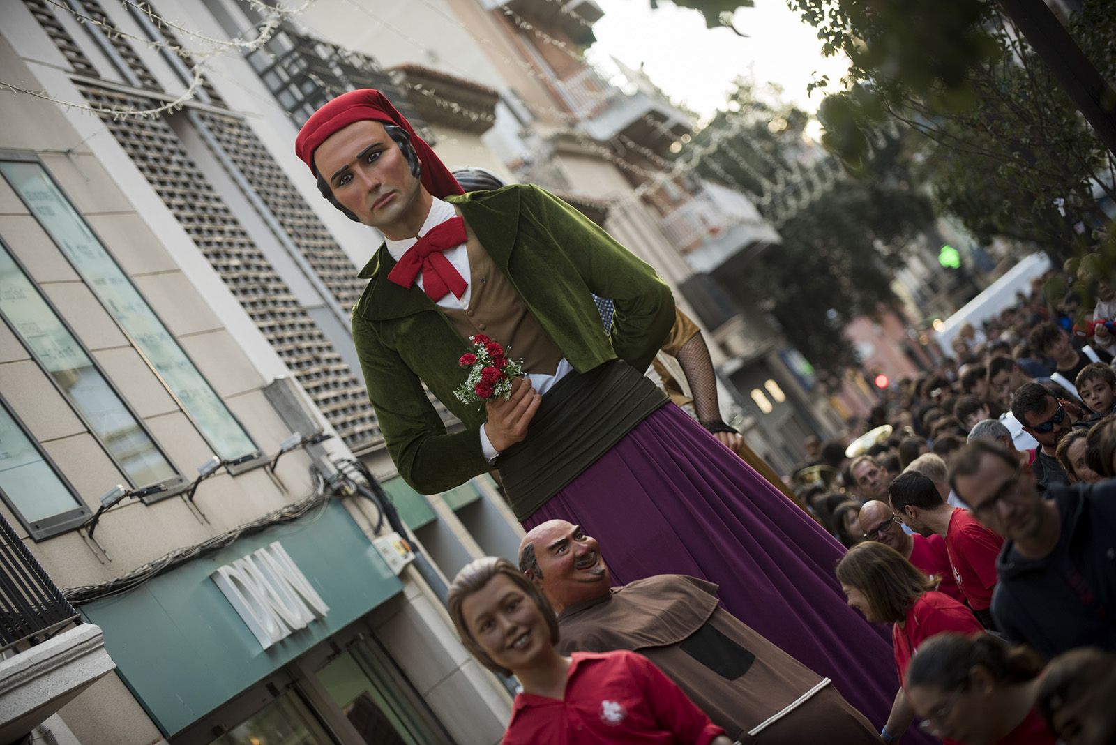 Cercavila gegantera. FOTO: Bernat Millet.