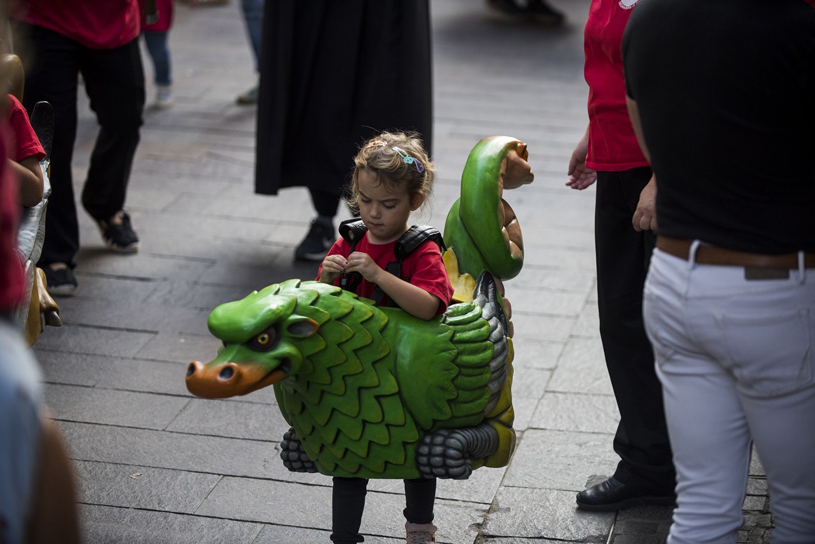 Cercavila gegantera. FOTO: Bernat Millet.