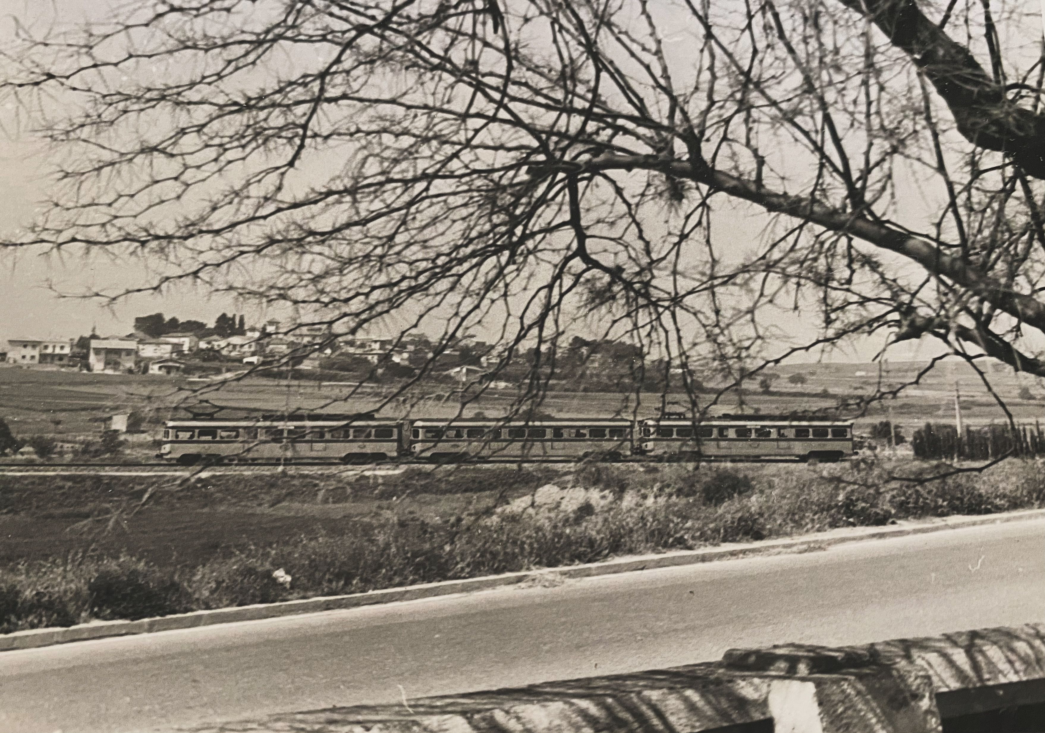 4t premi categoria 40 anys: 'El tren granota' · Avinguda de Rius i Taulet. FOTO: Rosamaria Bruguera Rifà