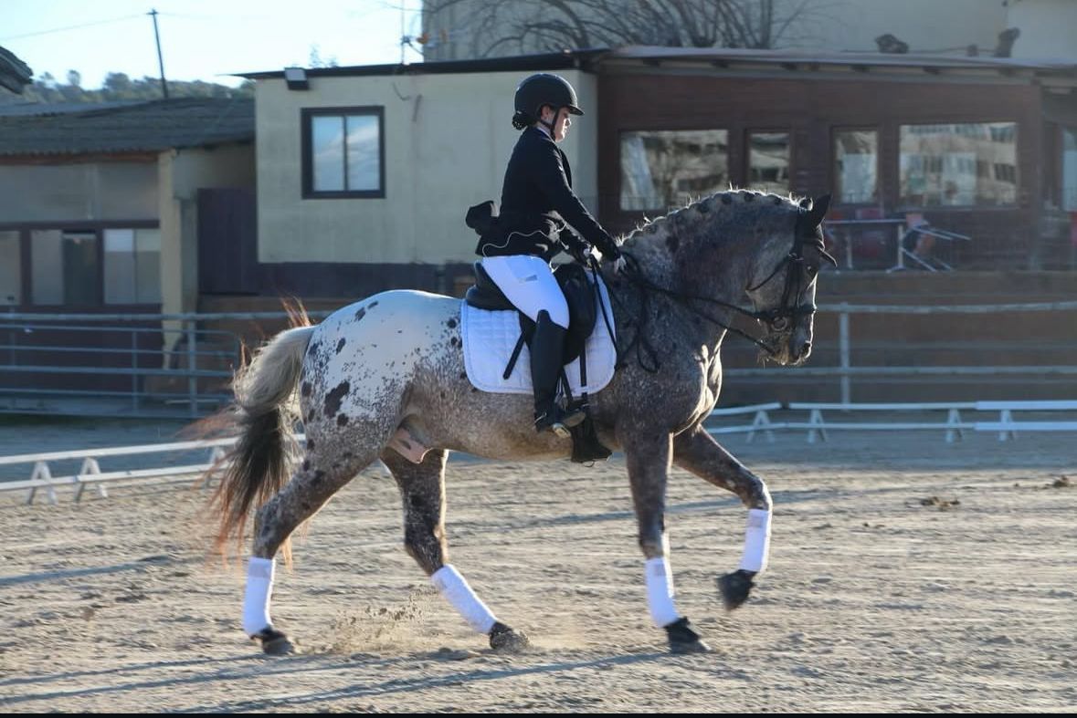 Punts i taques fent art - Hípica Can Caldes, Sant Cugat del Vallès FOTO: Paula Moldes de la Rosa