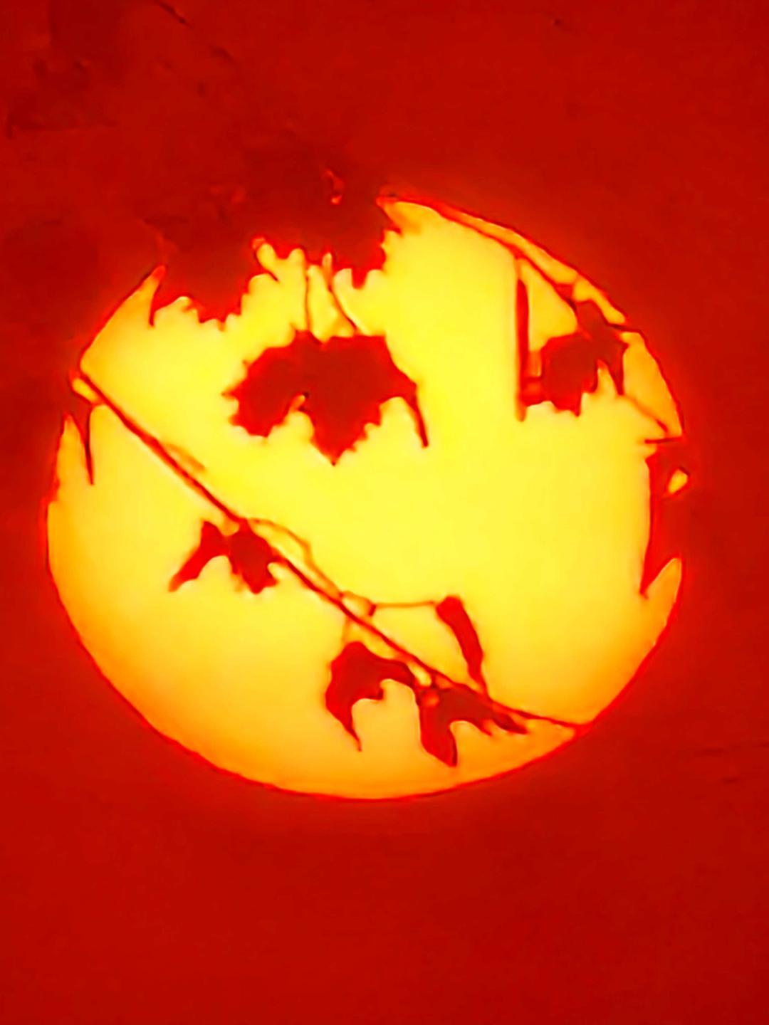 Puesta de Sol - Plaza Ricardera Sant Cugat FOTO: Manolo Torres Castro 