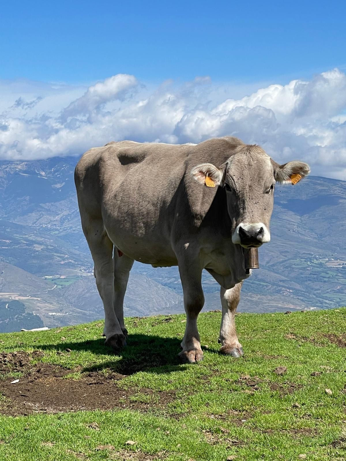 Privilegiada - Parc natural del Cadí, Moixeró FOTO: Sílvia Narbona Vicens