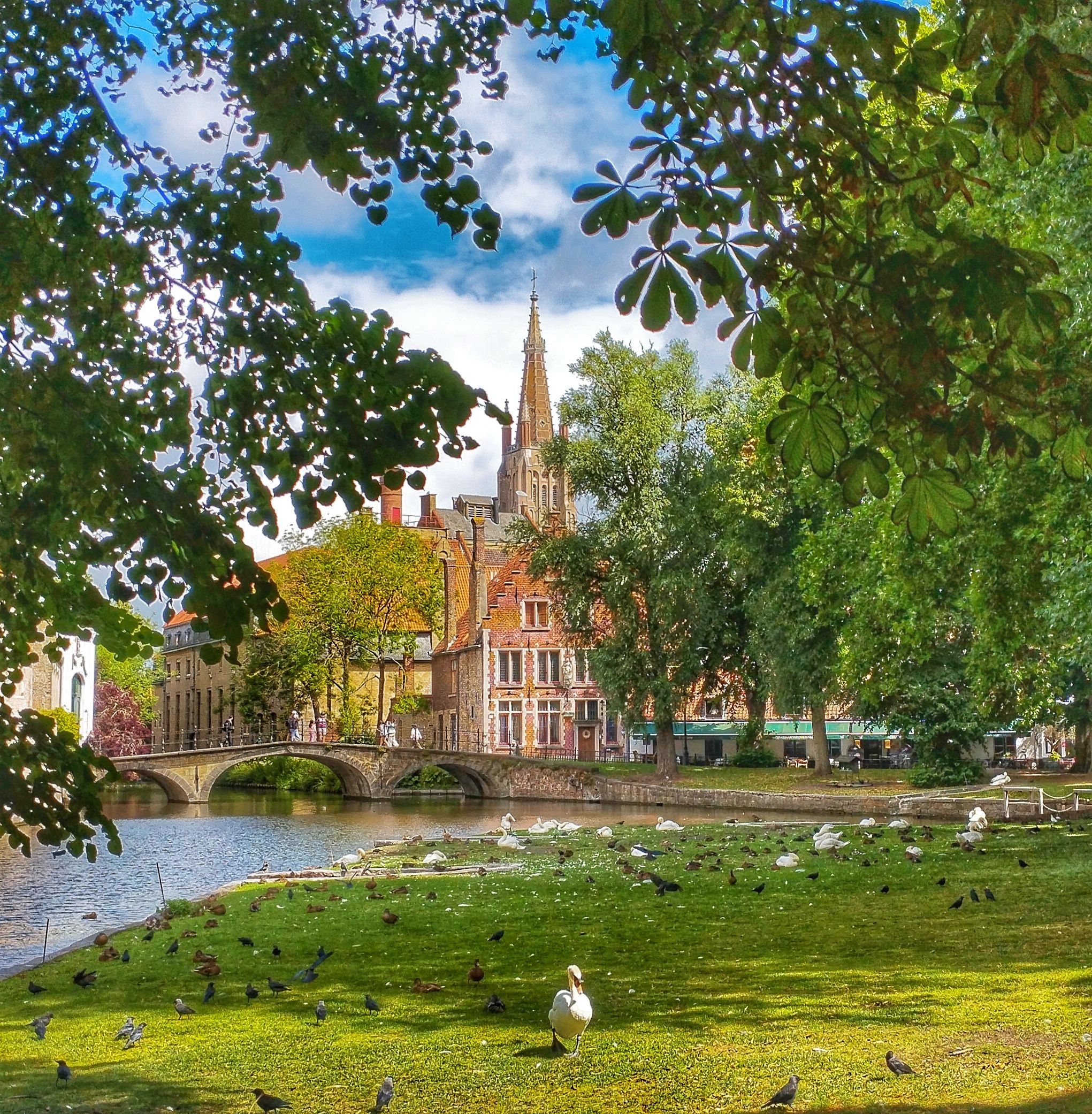 Postal de la quotidianitat - Bruixes FOTO: Sergi Prieto Rodríguez