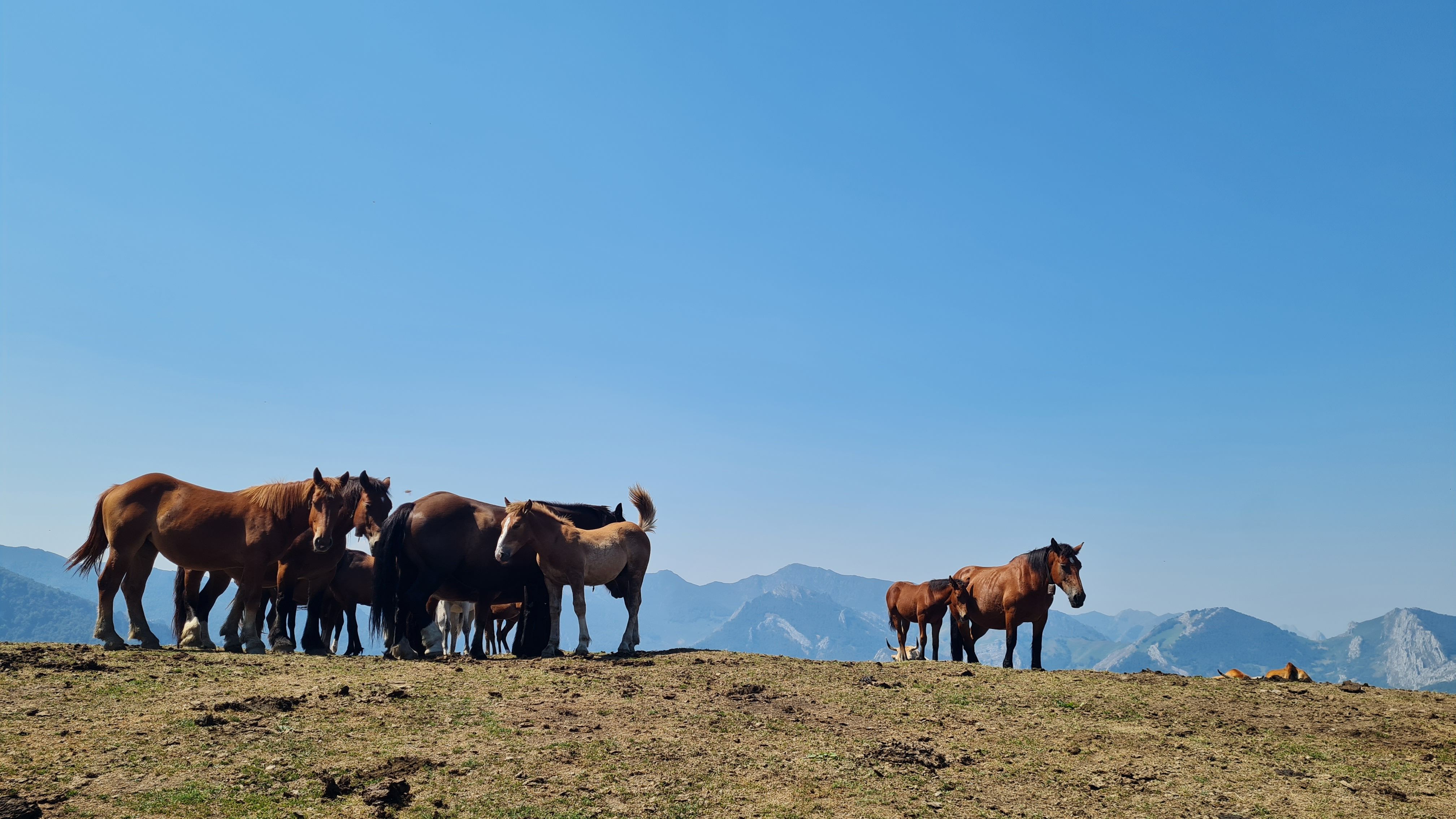 Prau - Parque Nacional de Redes, Astúrias FOTO: Aleix Ballart Perez