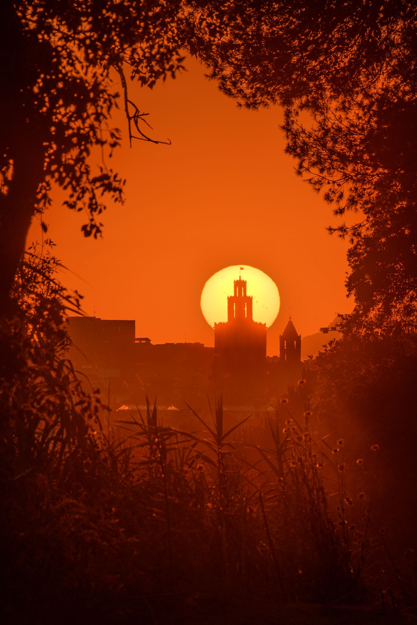 Posta de sol des del Pi d'en Xandri - Sant Cugat del Vallès FOTO: Jordi de Febrer de Olives