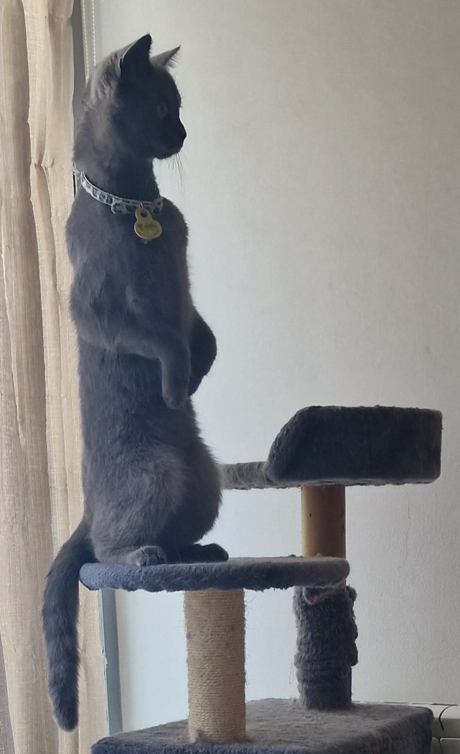 Posada de dos potes - Terrassa FOTO: Neus Juncadella Vila