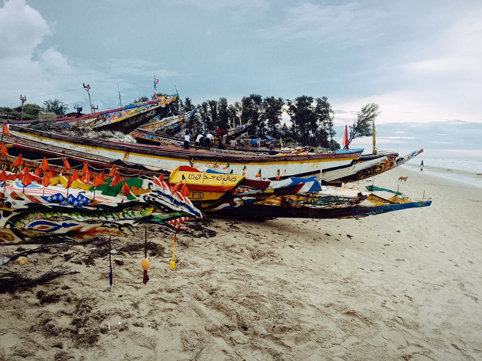 Platja dels Baobabs - Senegal FOTO: Jana Guasch de Pablo
