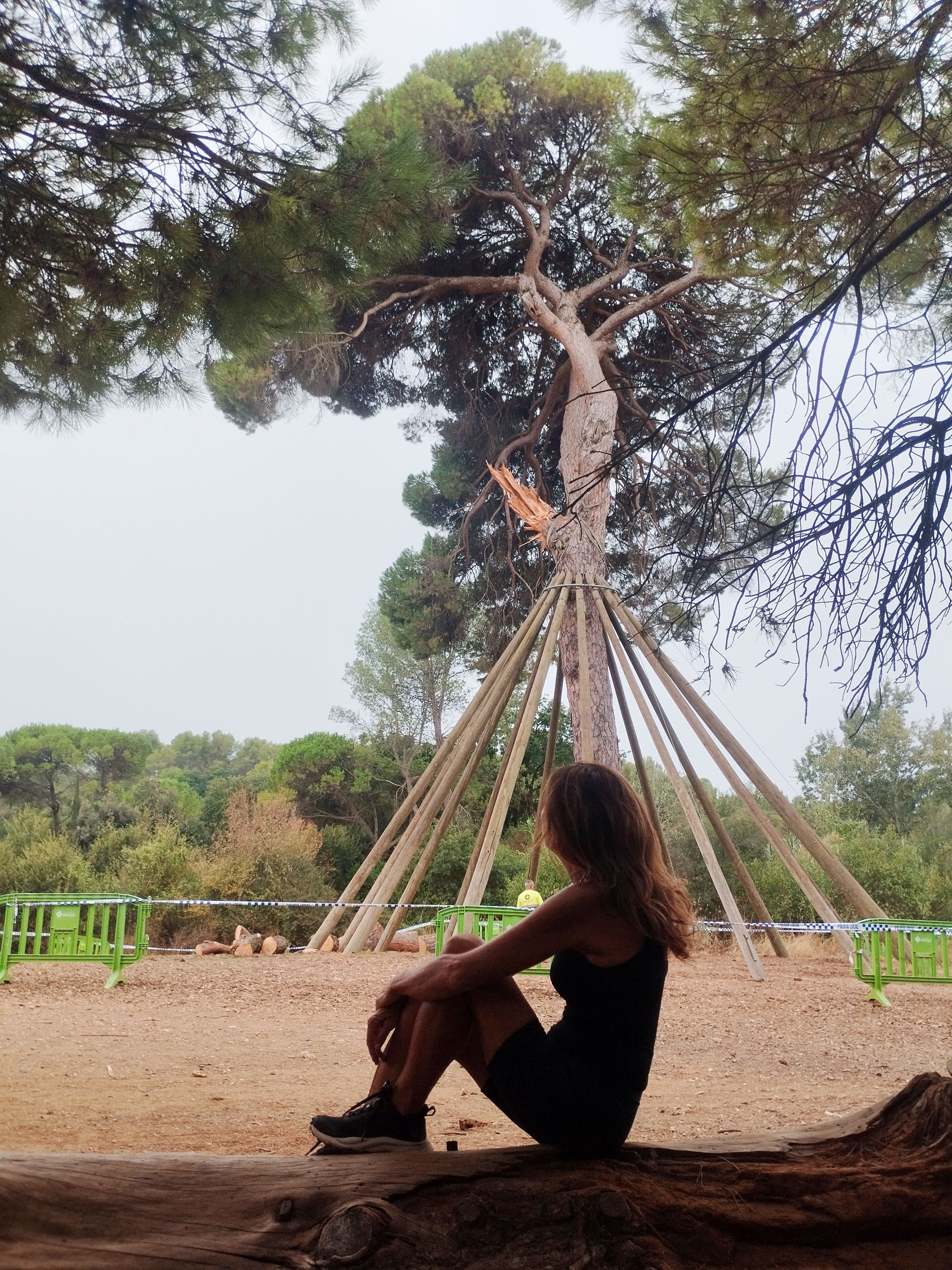 Plorant el nostre Pi d'en Xandri - Parc de Collserola FOTO: Mireia Fons Reverte