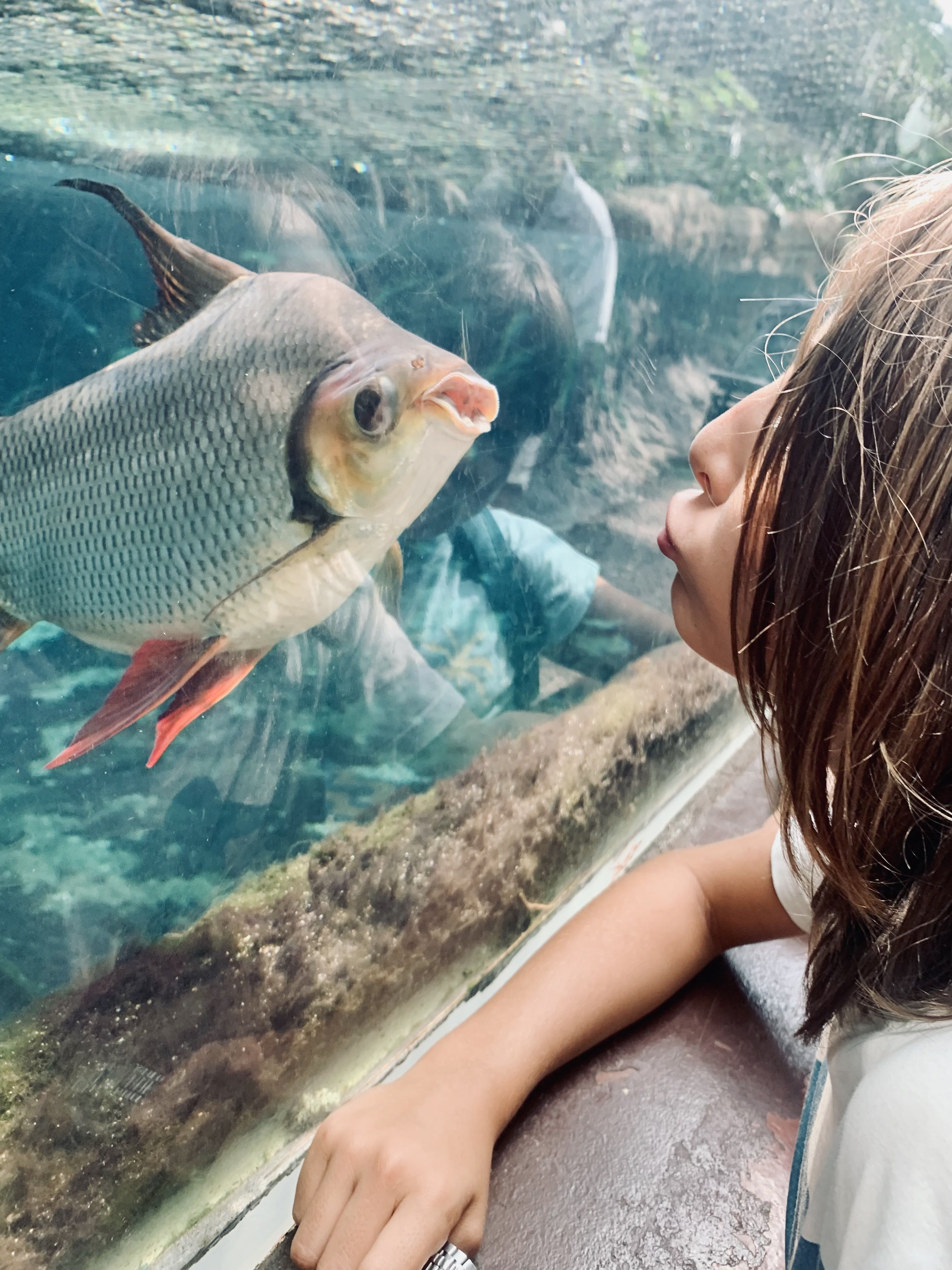 Petó - Cosmocaixa FOTO: Olga Picazo