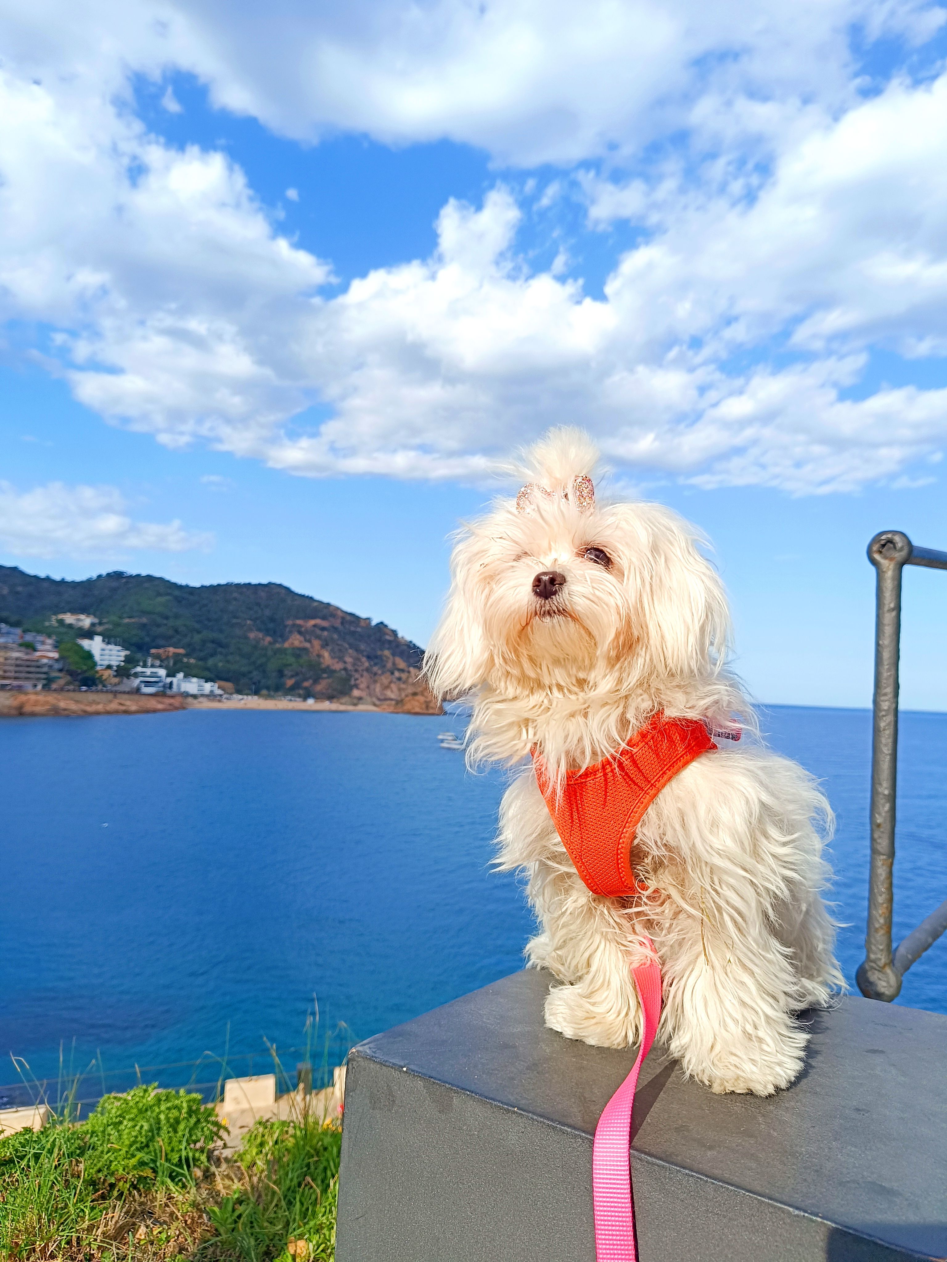 Perlita - Sant Cugat del Vallés FOTO: Paul Tandalla