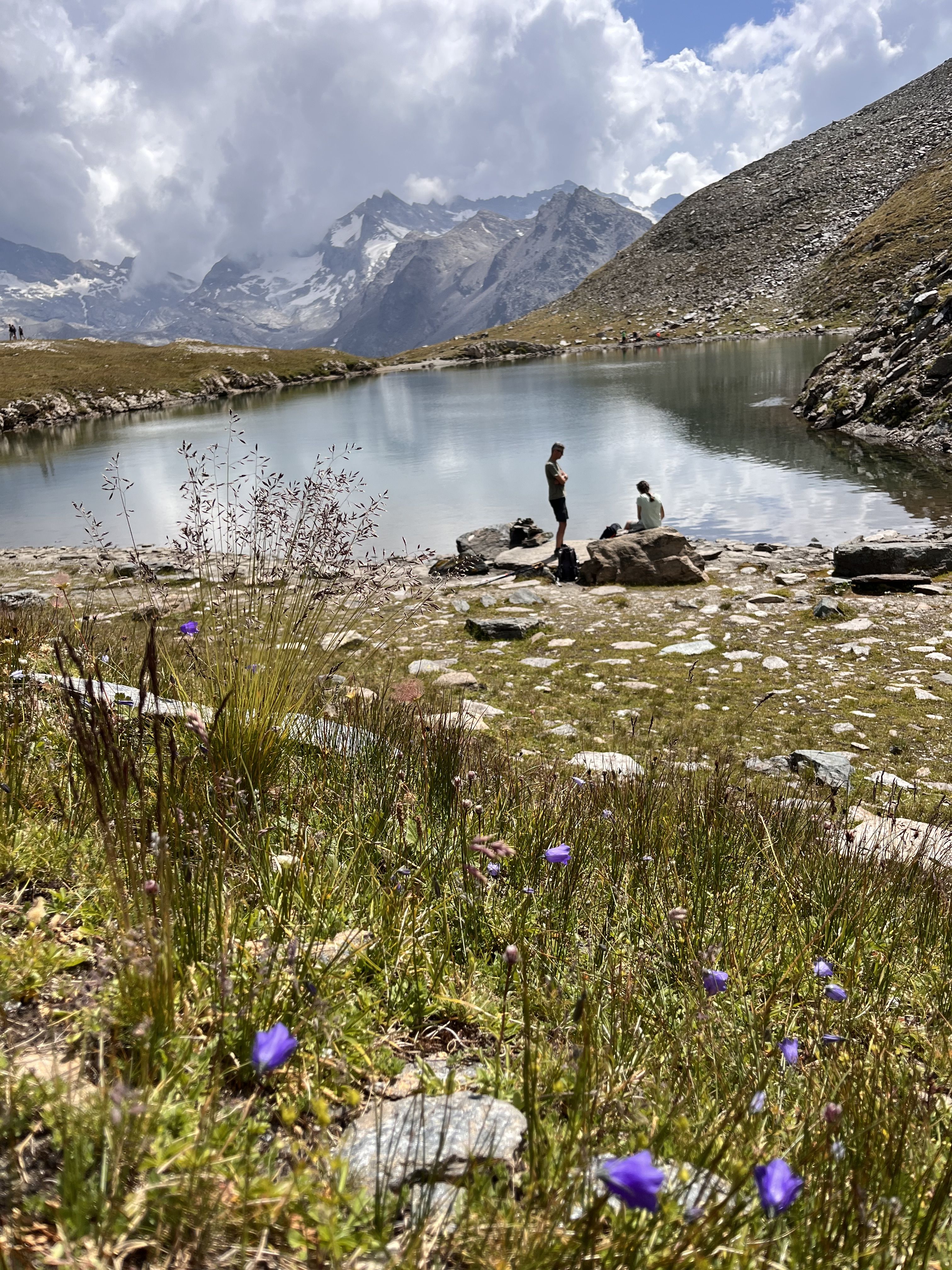 Pau en la montaña - Parc de la Vanoise, França FOTO: Yolanda  Domingo Cárceles