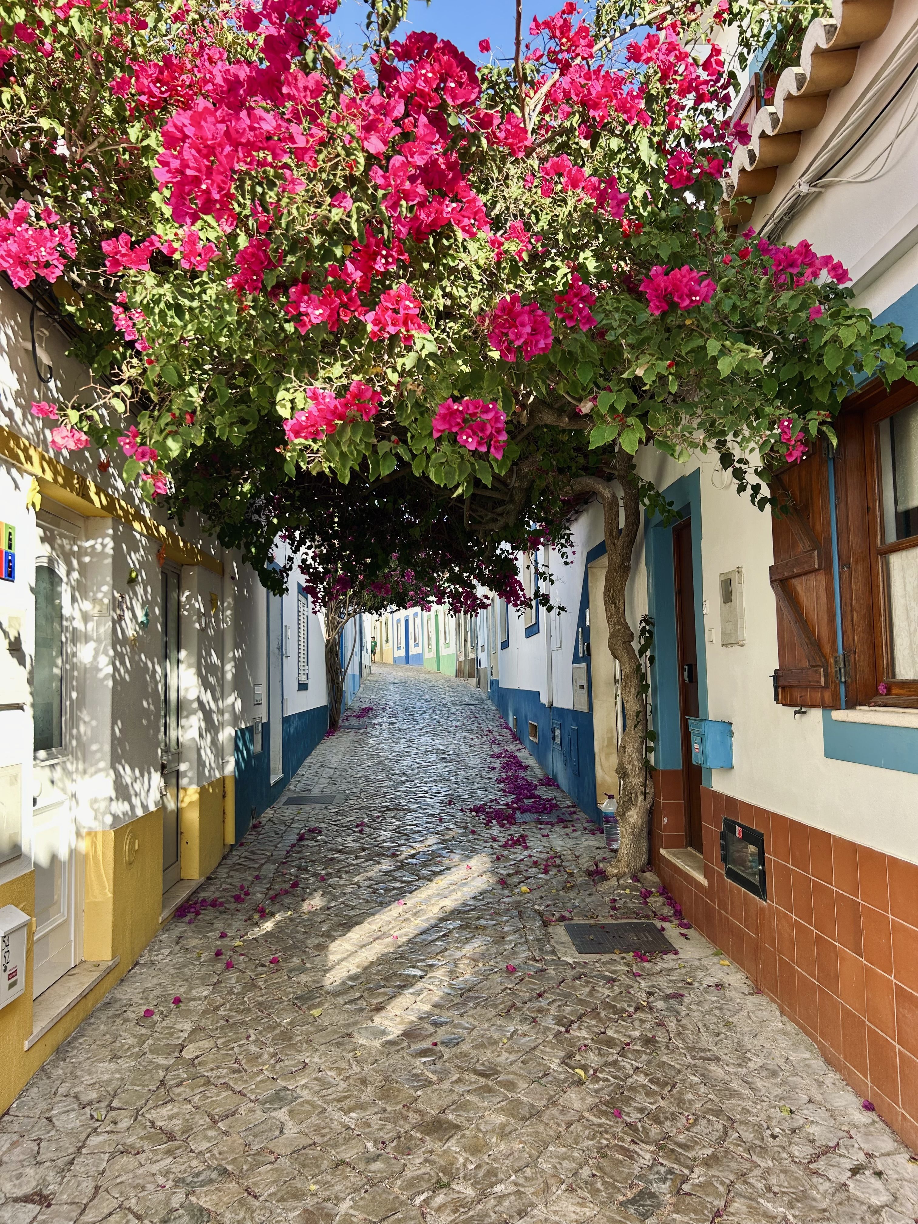 Passeig per recordar - Portugal FOTO: Maria Guillot Dieste