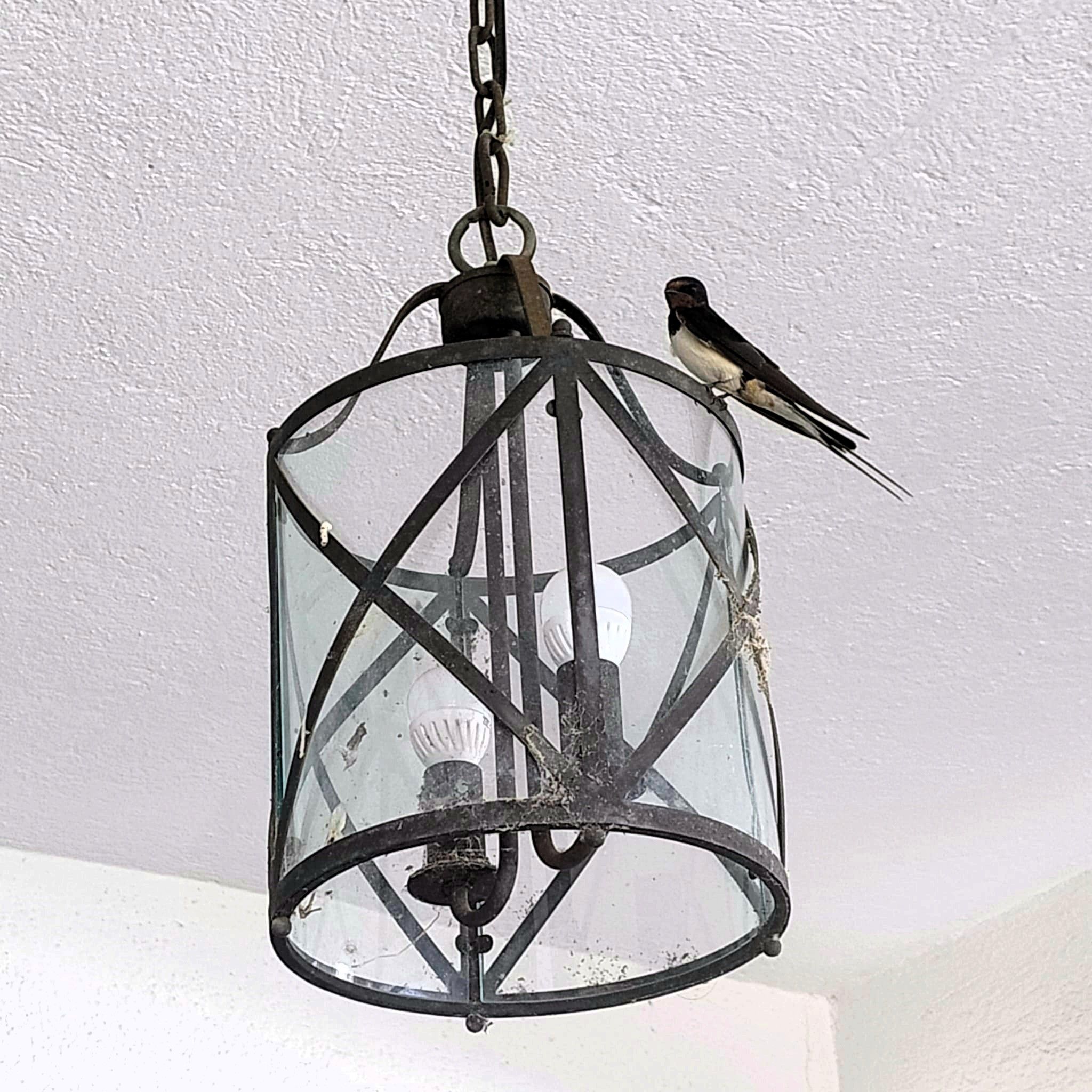 Oreneta - Arbúcies FOTO: Carles Llombart Elias