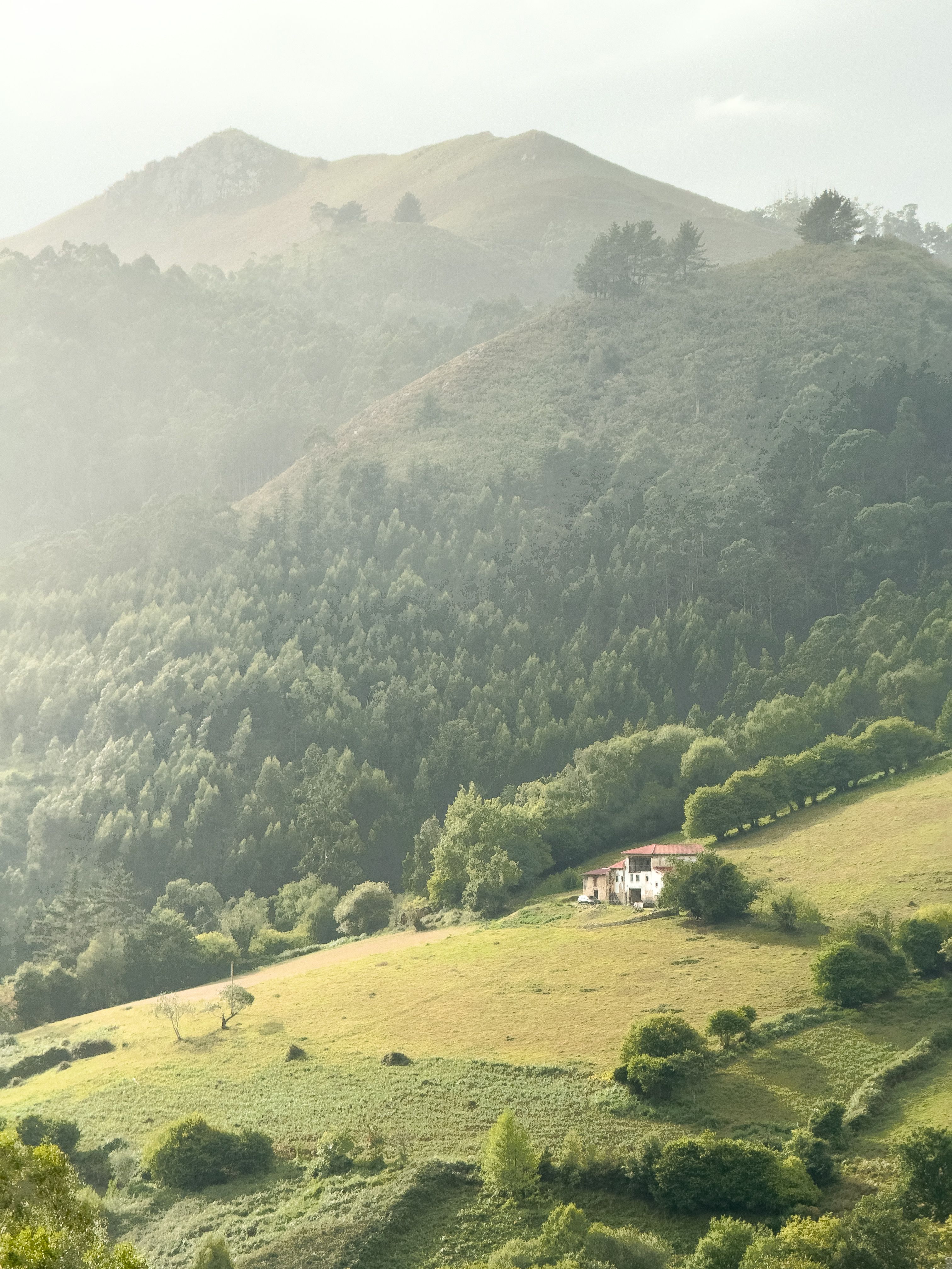 Sota bastiments, Valls Jeuen - Asturias, Linares FOTO: Aleix Anton Vicente 