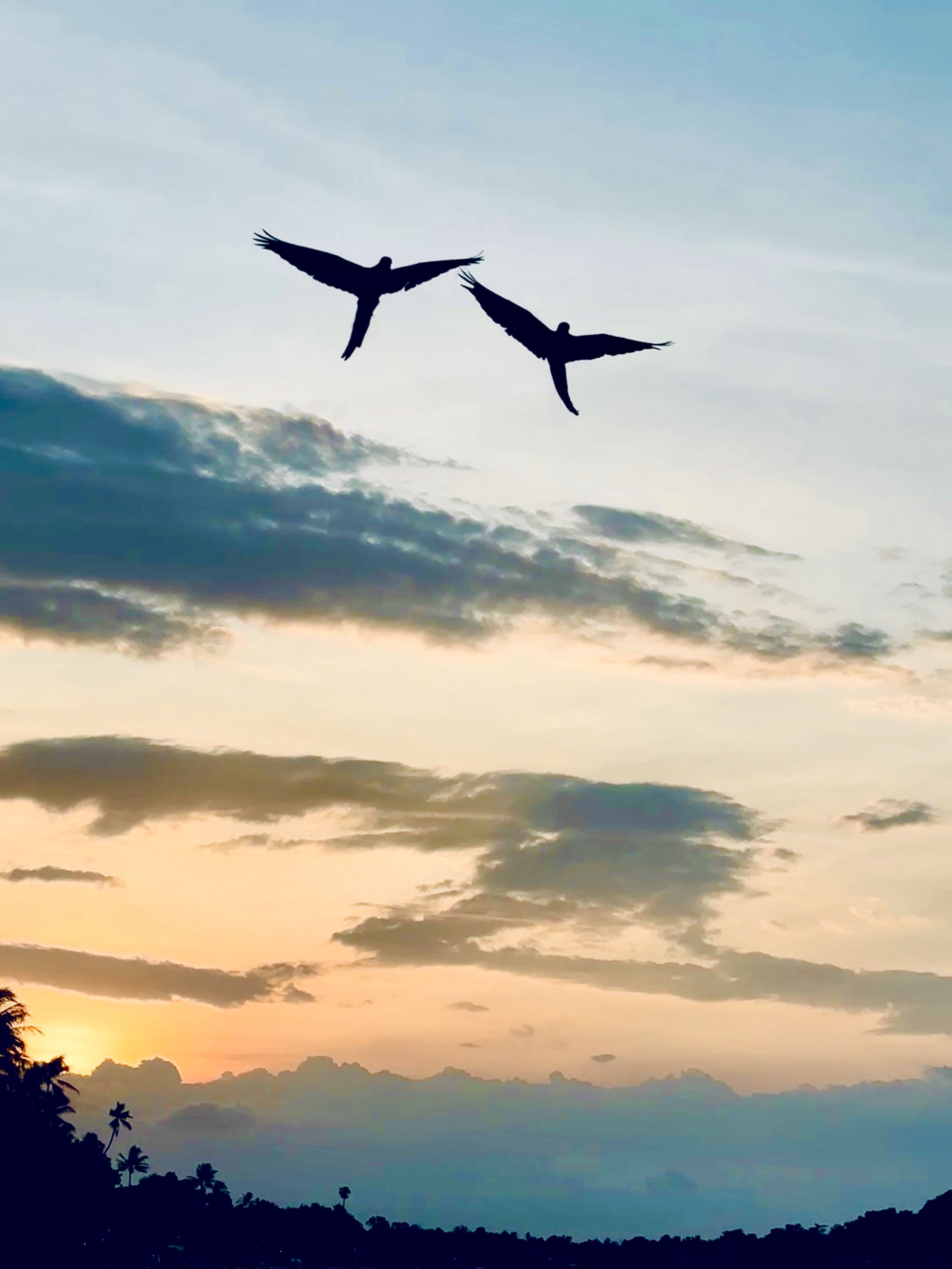 The Angels - Tailàndia FOTO: Tzeitel muscat