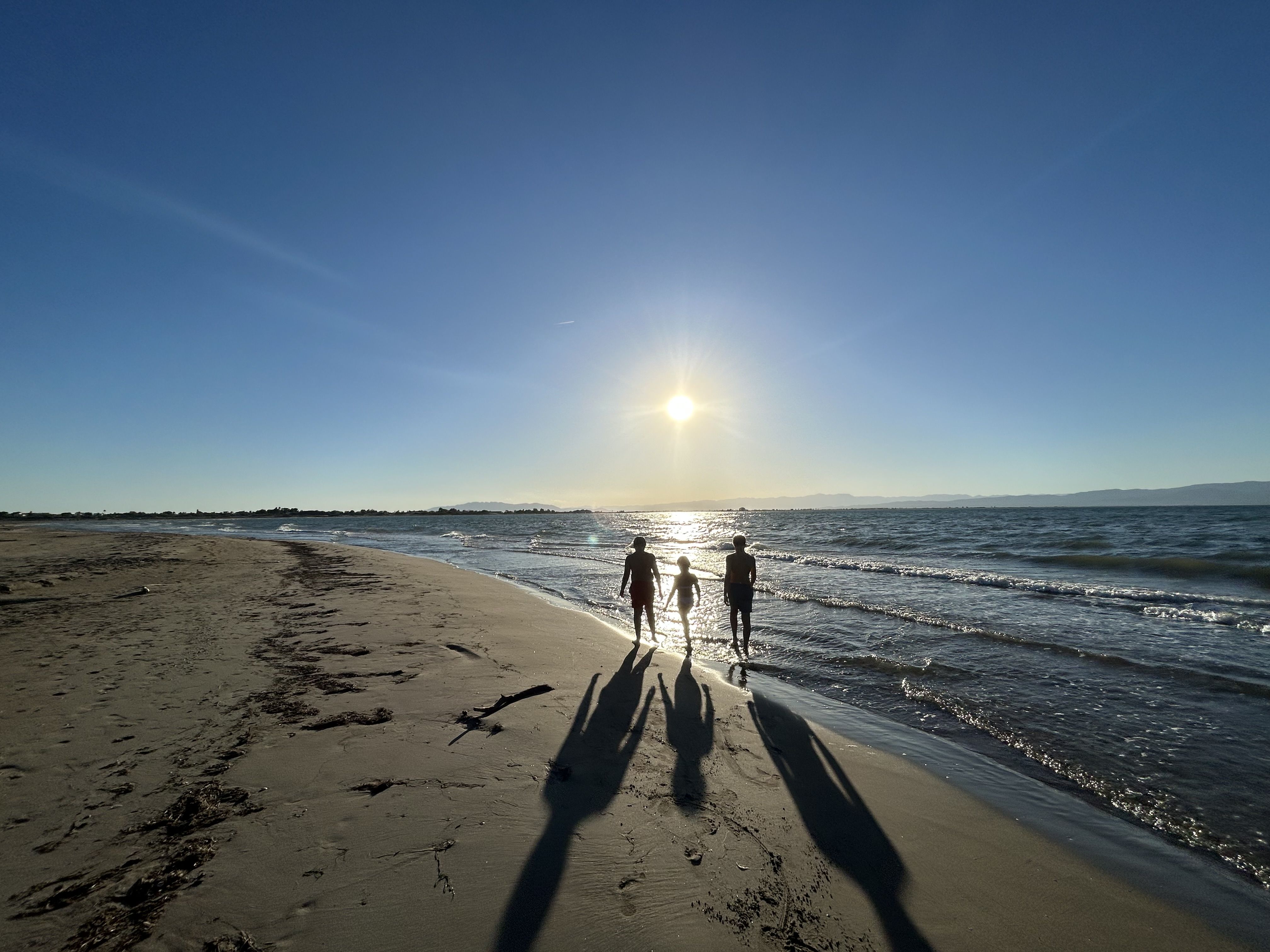 Tarda infinita - Delta de l'Ebre FOTO: Assís De Riba 