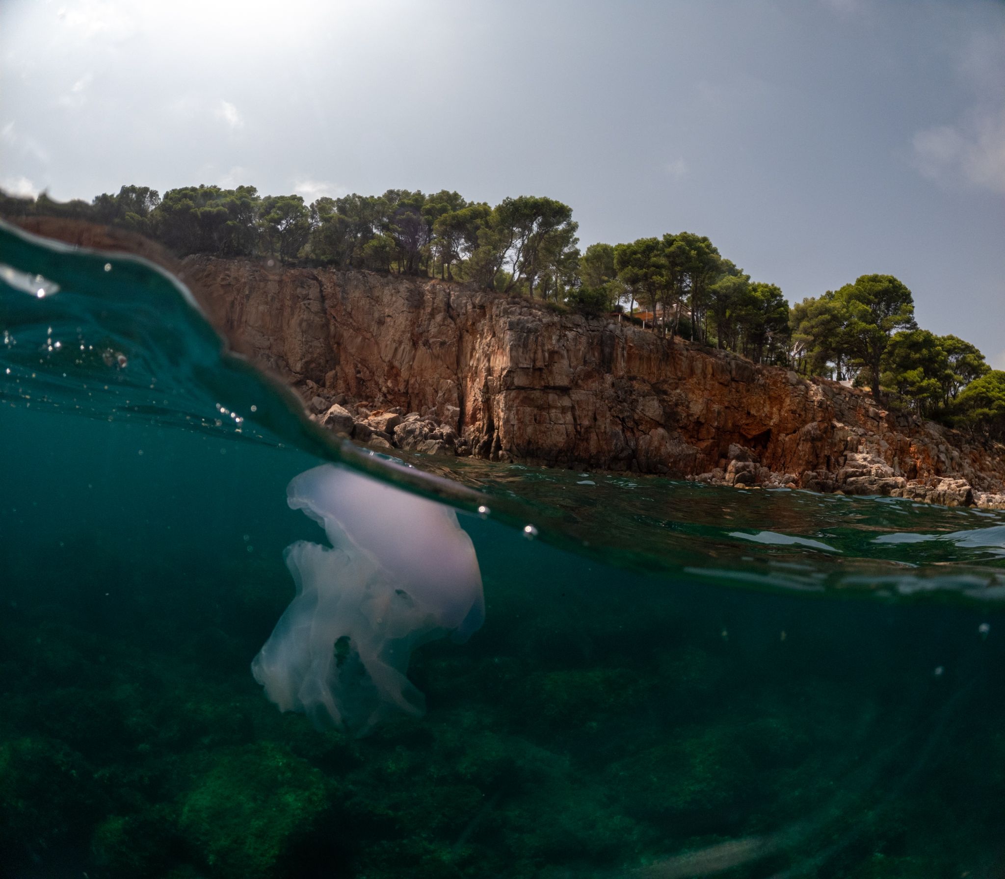 Surfeando la ola - L'escala, Girona FOTO: Irene Camarón Marqués