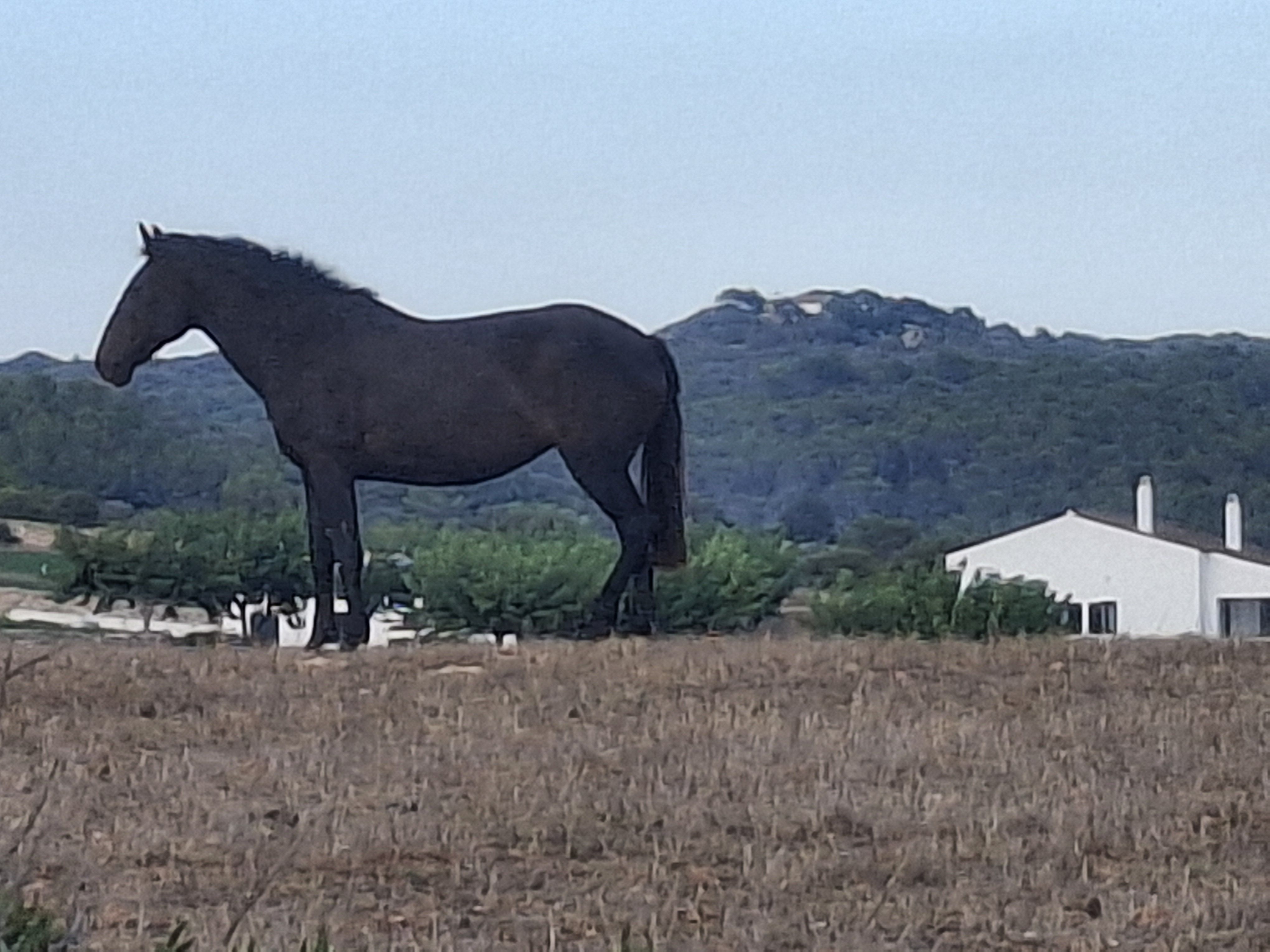 Sostenibilitat i turisme rural - Talis, Menorca, Illes Balears FOTO: Ana Brendemühl