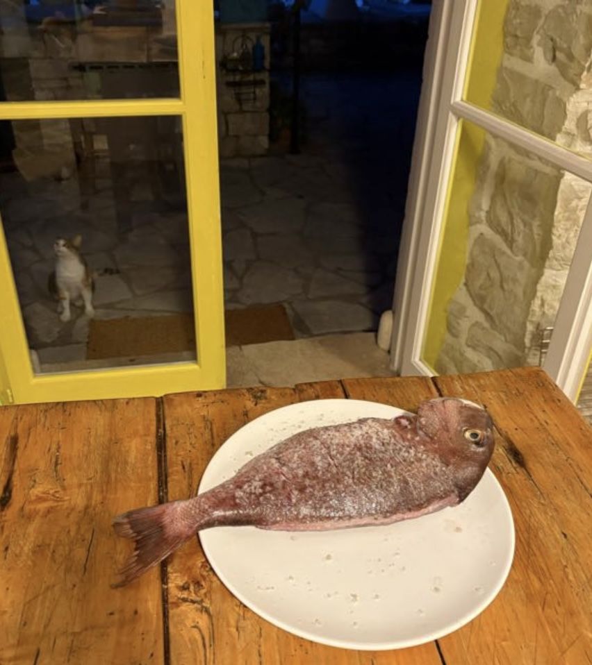 Sopar a Paxos - Illa de Paxos FOTO: Maria Masip